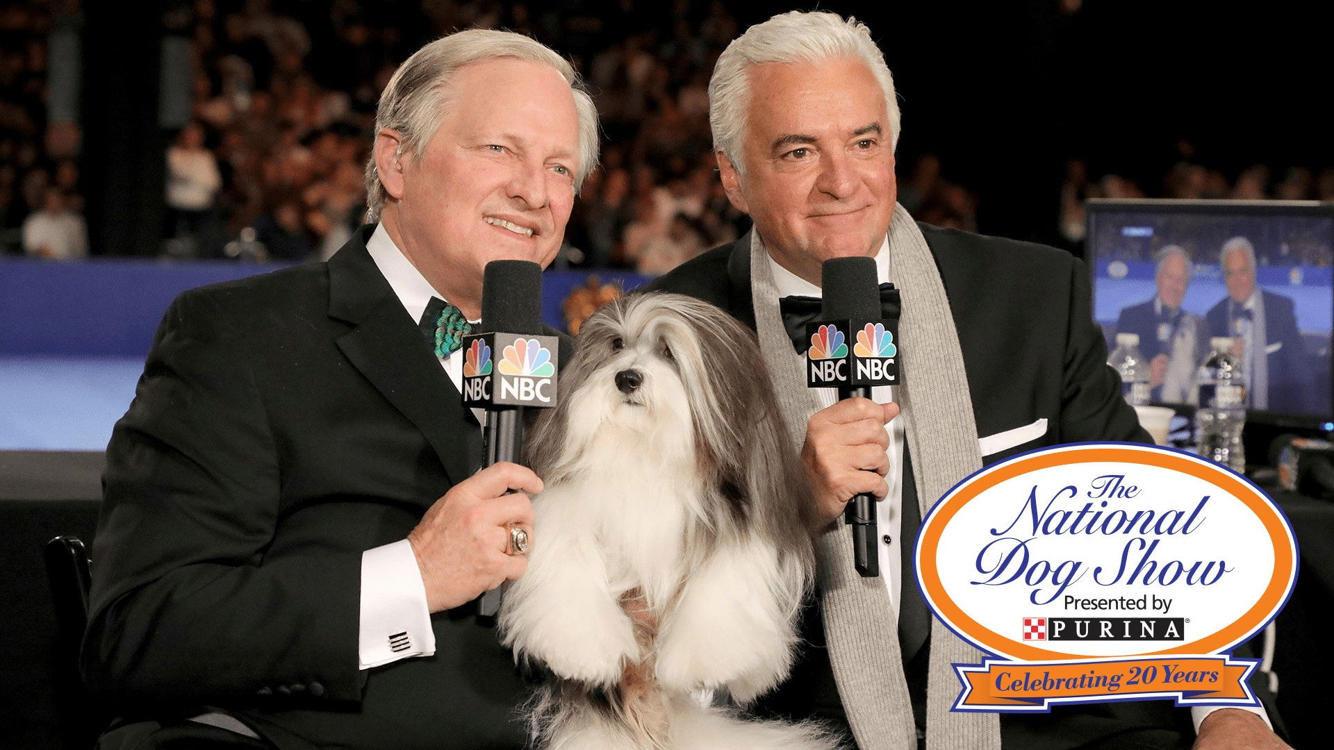 The National Dog Show 2017