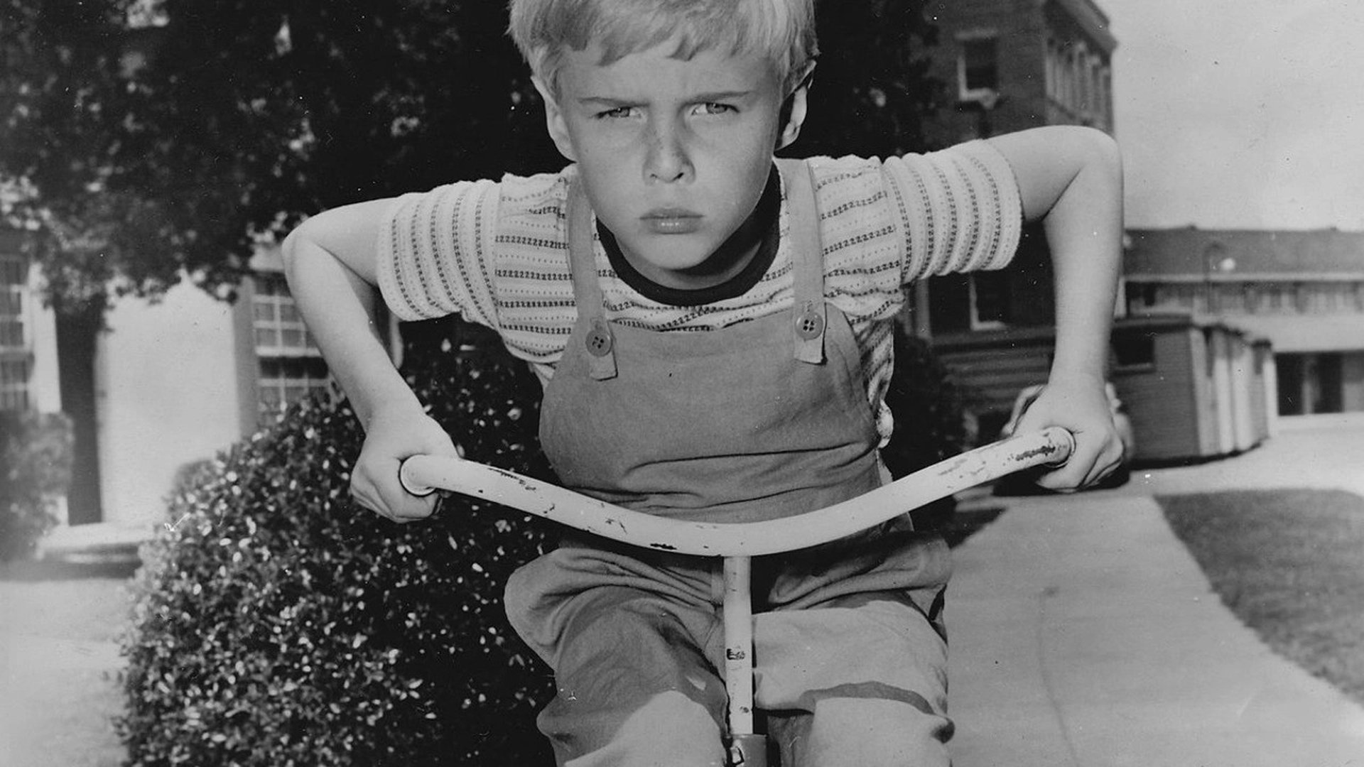 Dennis the Menace Season 3 Episode 4 : Mr. Wilson's Safe