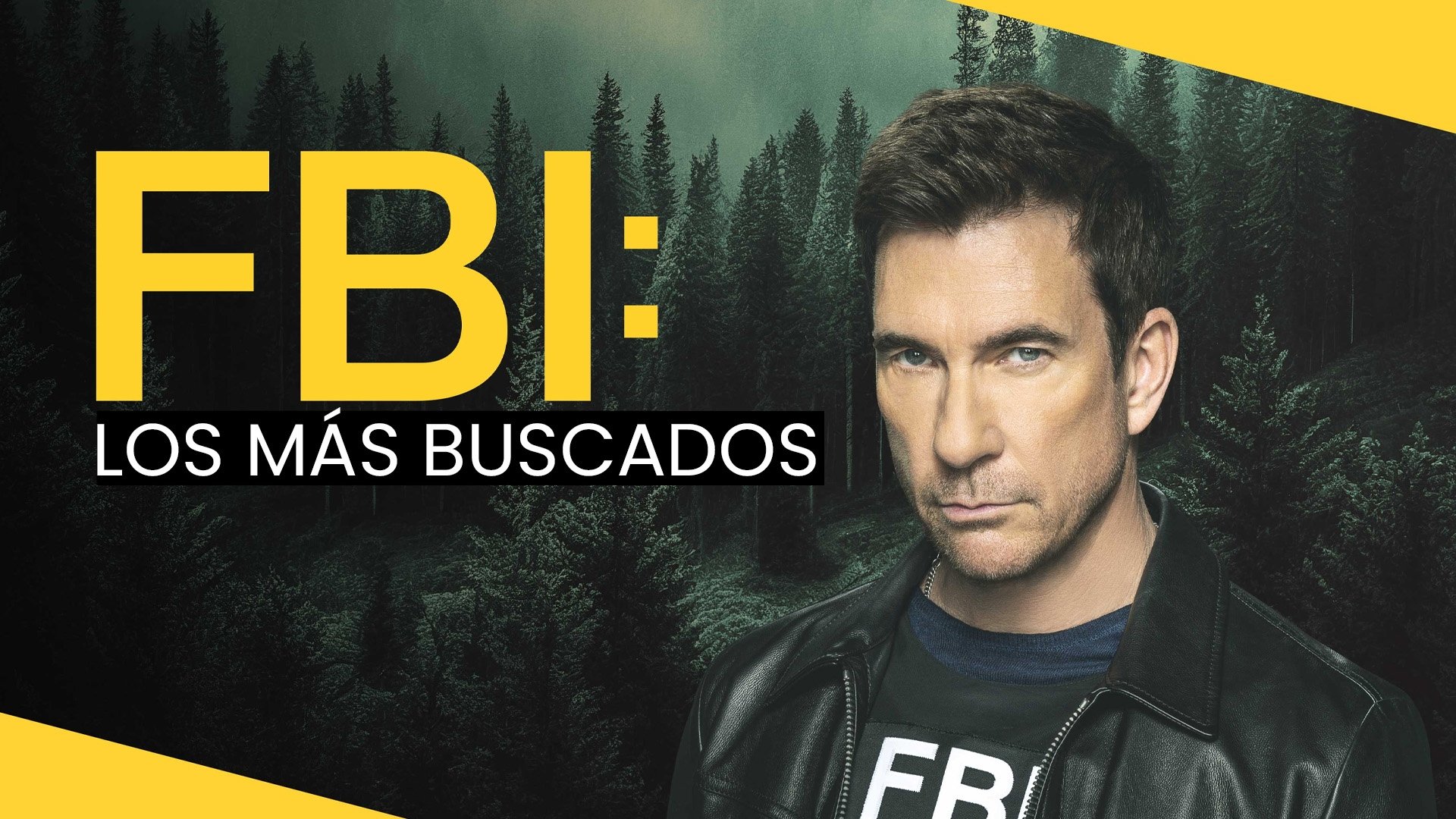 FBI: Most Wanted Season 4 Episode 10 : False Flag