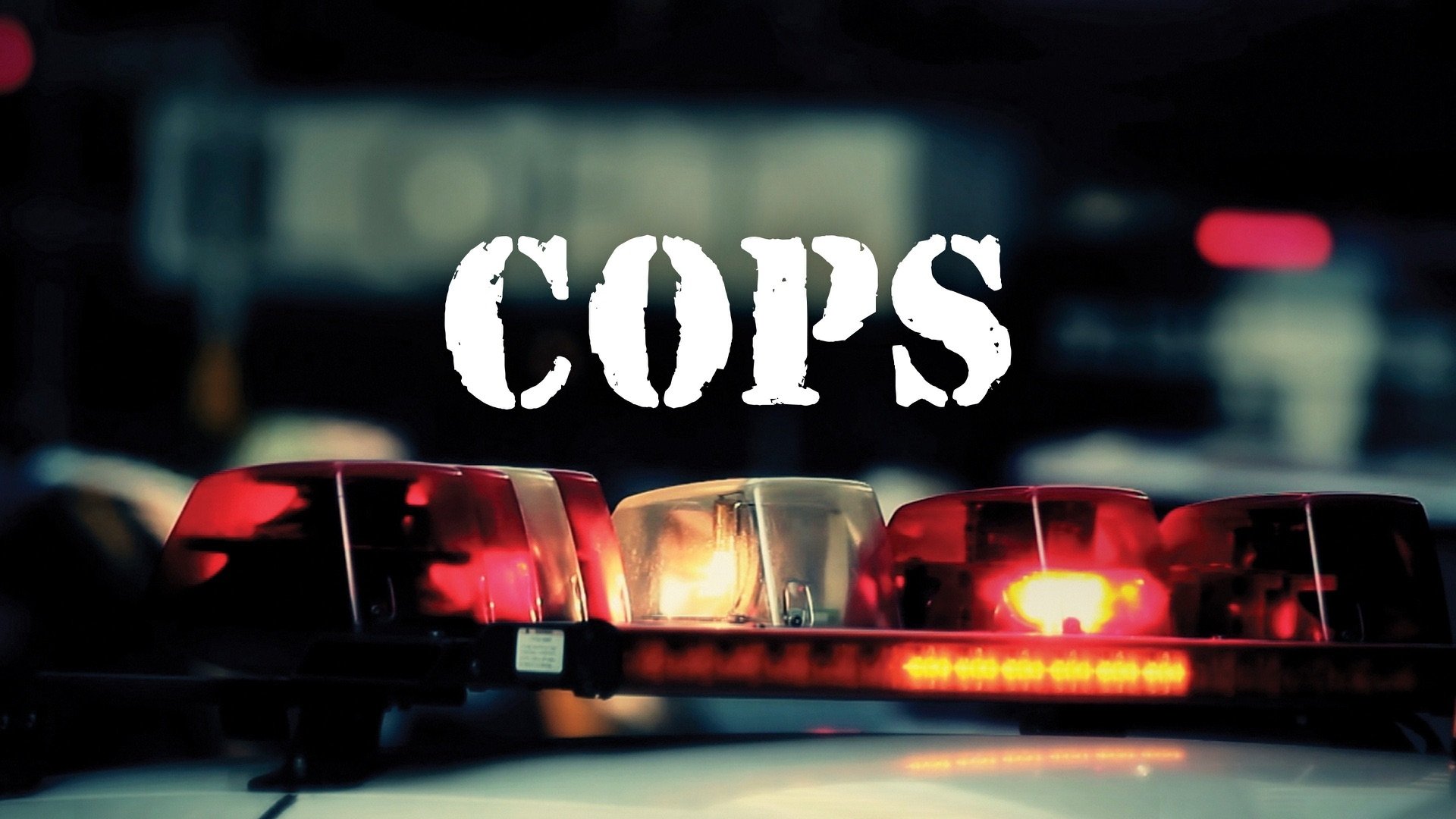 Cops Season 14