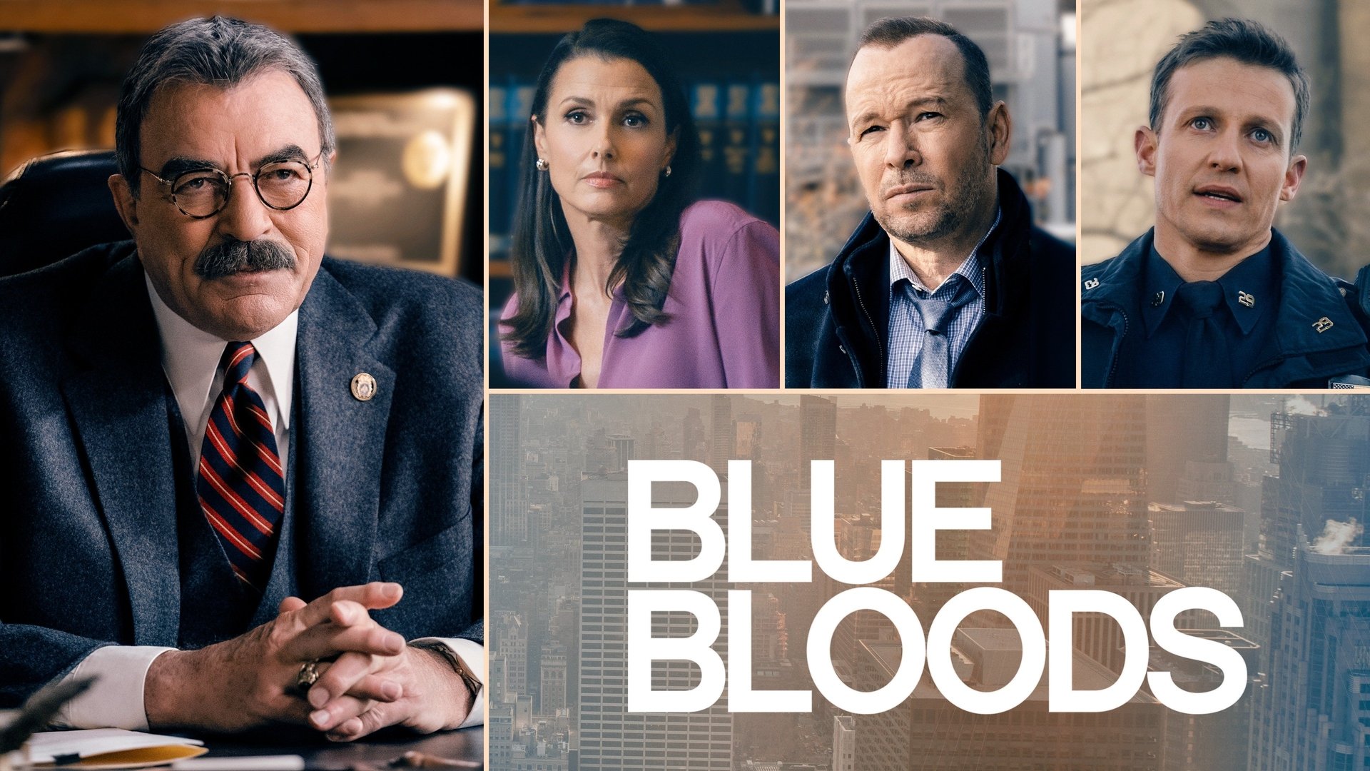 Blue Bloods Season 5 Episode 9 : Under the Gun
