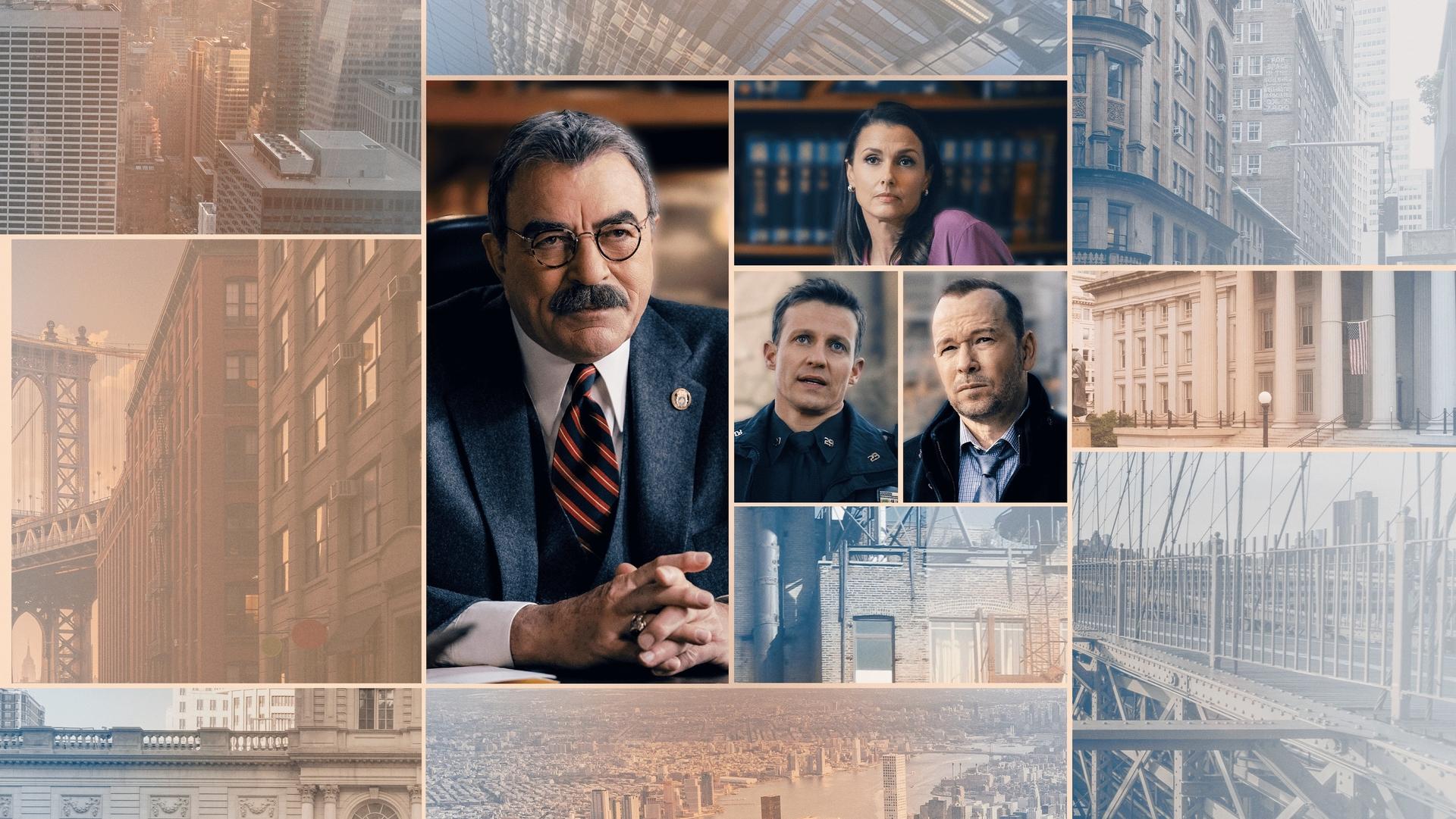 Blue Bloods Season 12 Episode 20 : Silver Linings