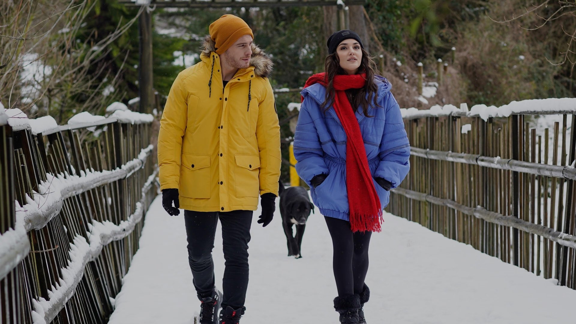 Love Is in the Air Season 1 Episode 27 : Everything is Beautiful With You