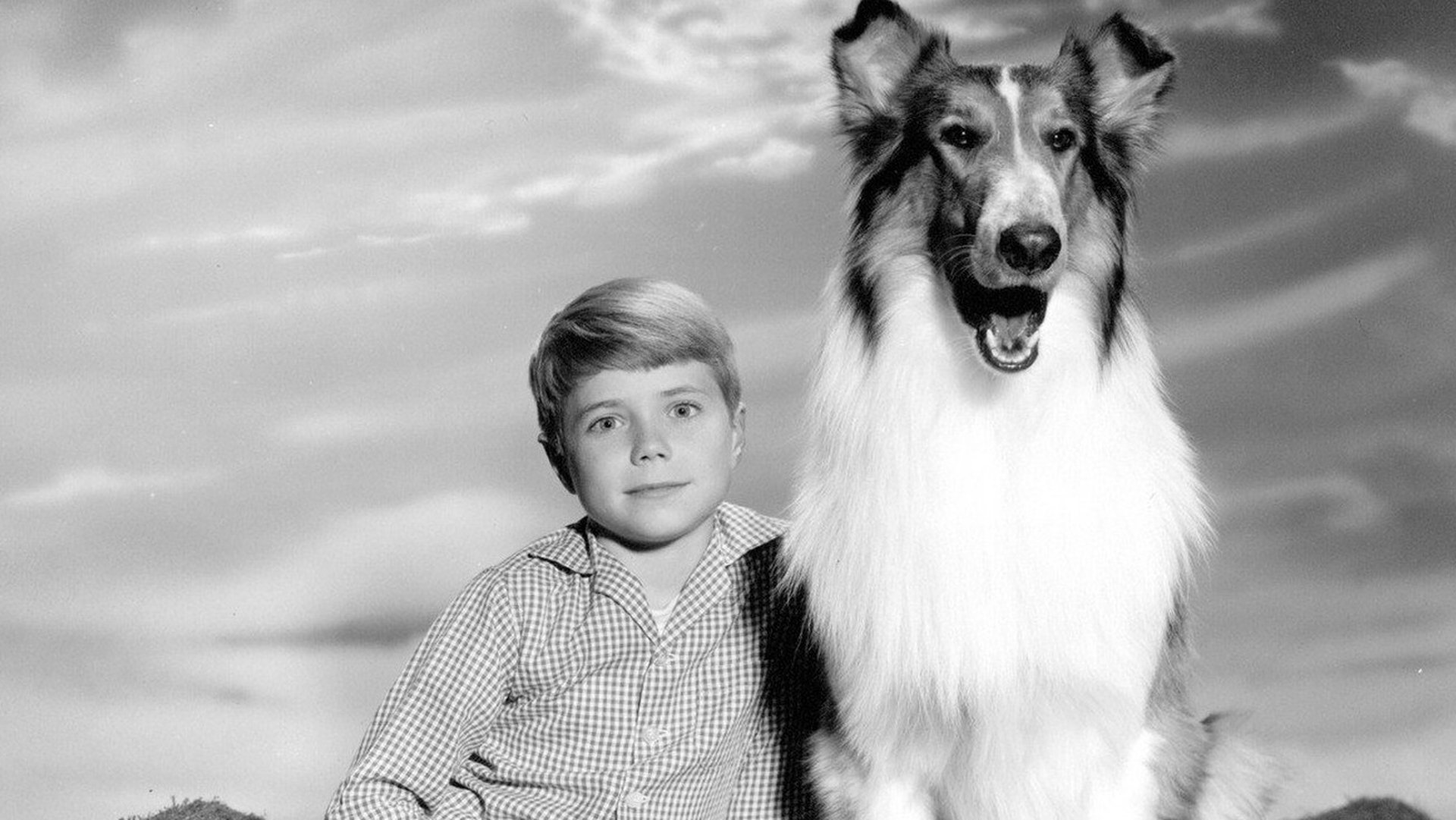 Lassie Season 5 Episode 3 : The Teacher