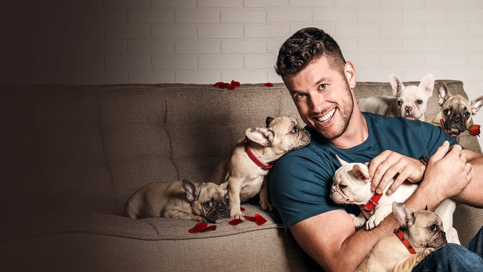 The Bachelor Season 26