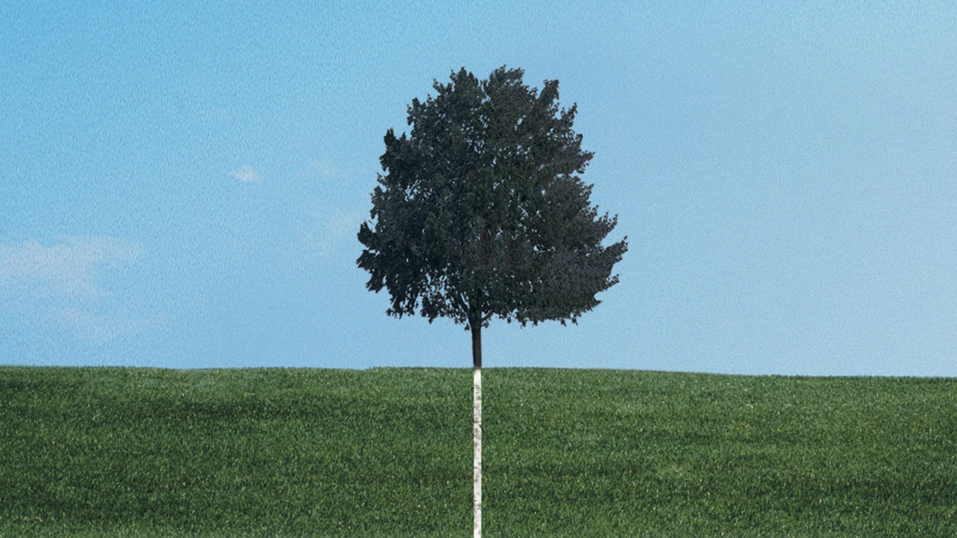Six Feet Under Season 1 Episode 2 : The Will