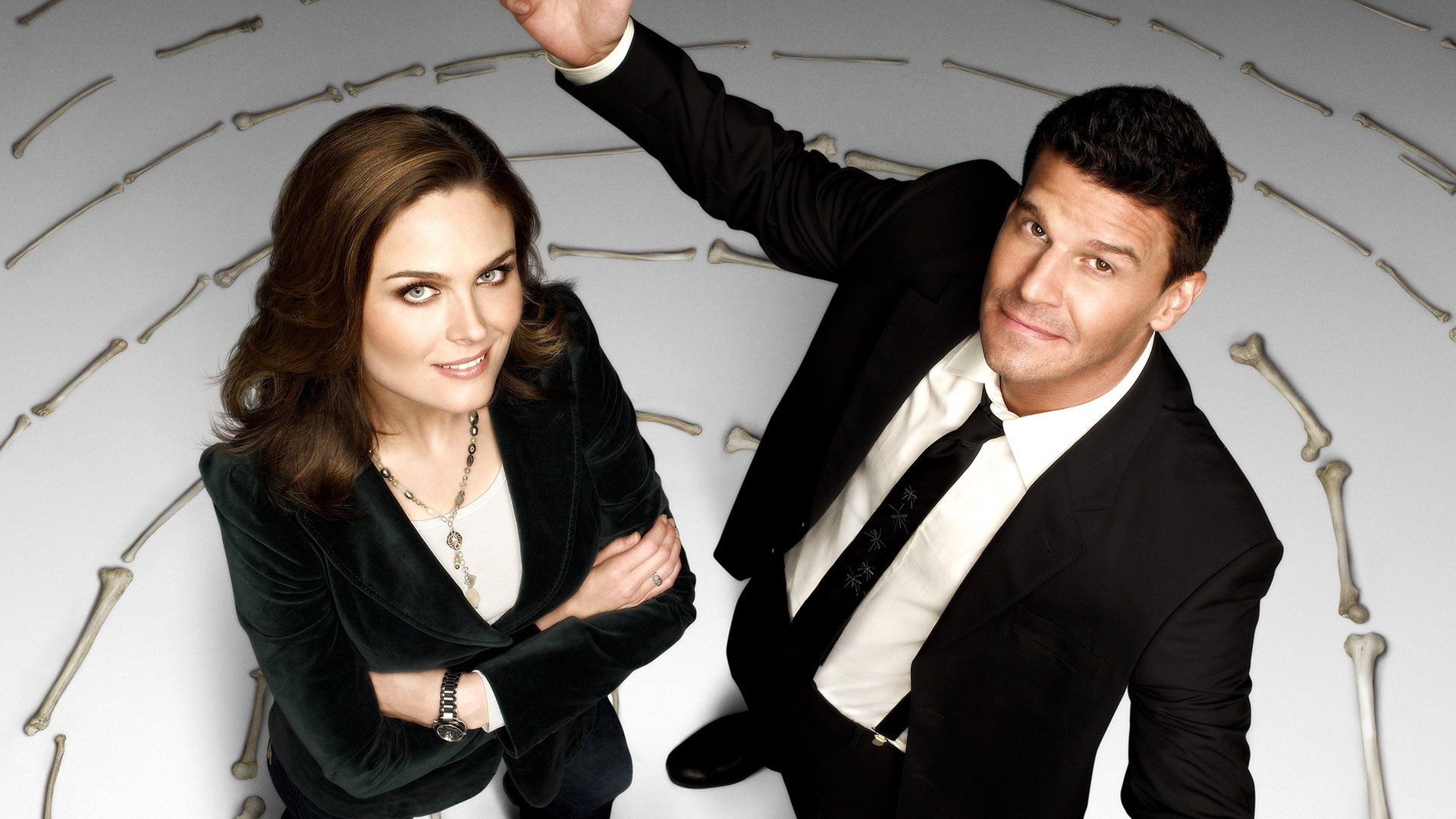 Bones Season 4 Episode 19 : The Science in the Physicist