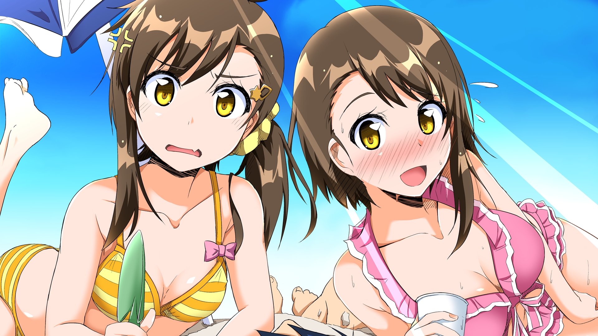 Nisekoi Season 1 Episode 5 : Swimming