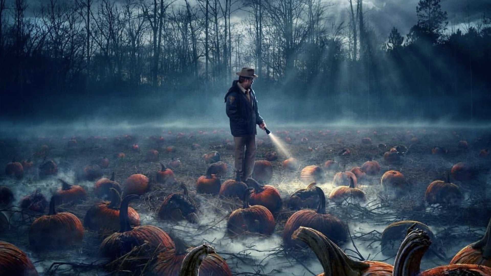 Stranger Things Season 1 Episode 8 : Chapter Eight: The Upside Down