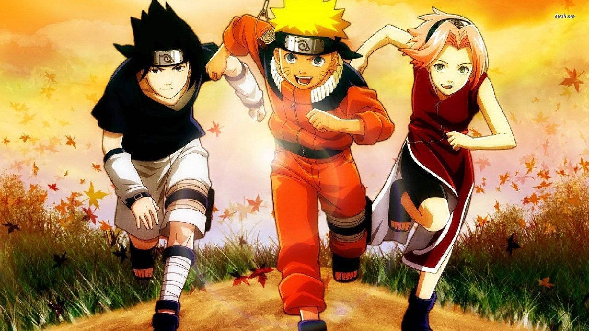 Naruto Season 3 Episode 148 : Search for the Rare Bikochu Beetle