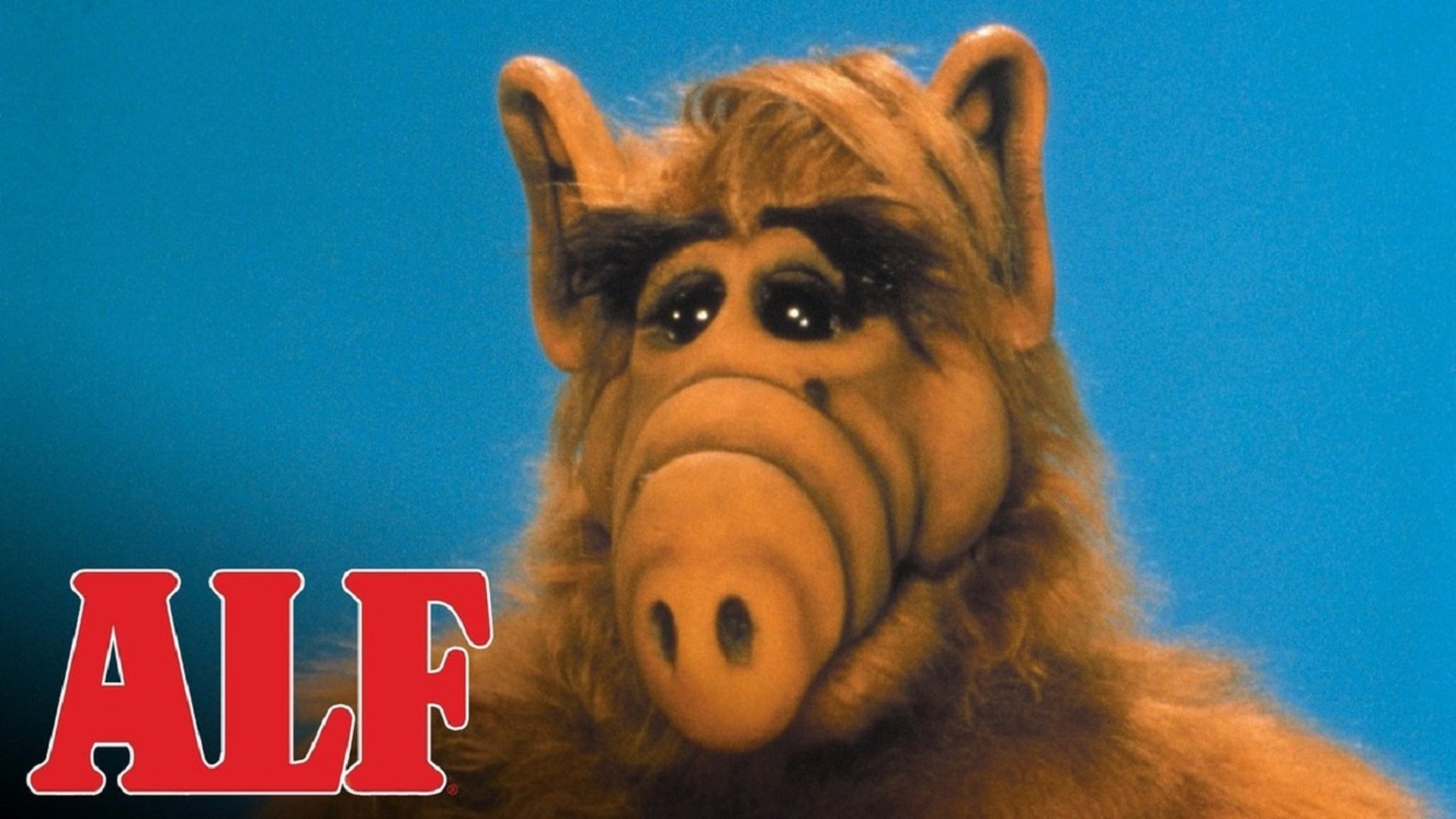 ALF Season 1 Episode 16 : Try to Remember (1)