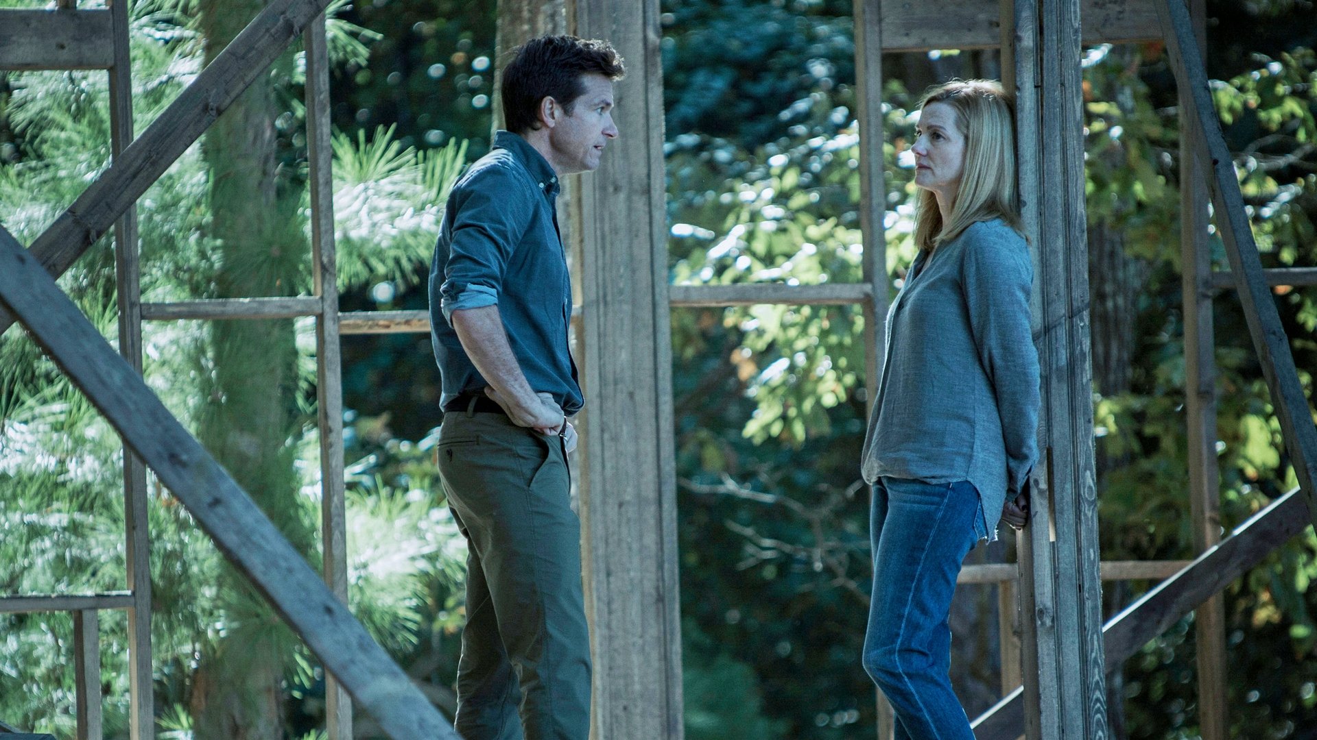 Ozark Season 1