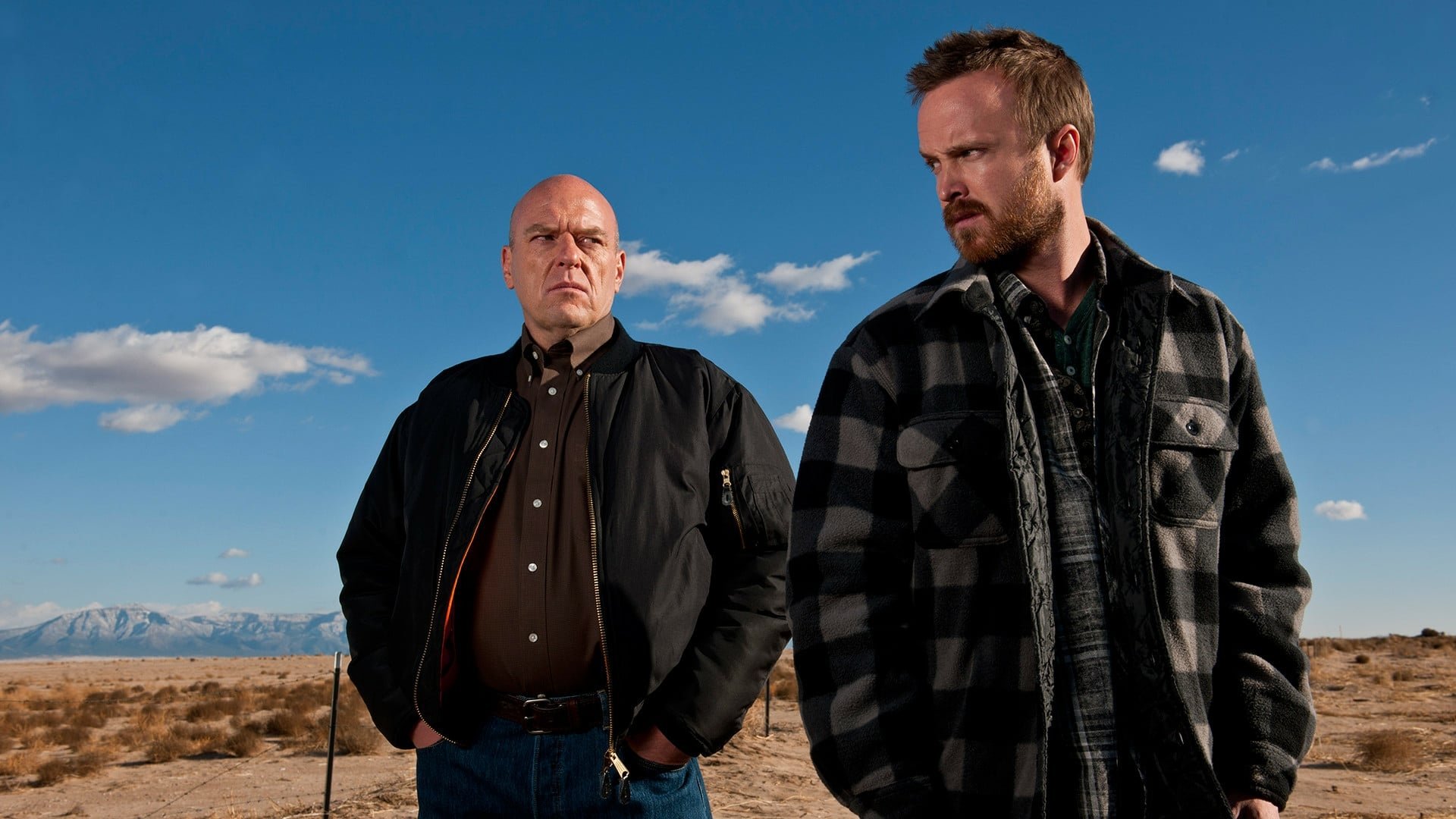 Breaking Bad Season 5 Episode 15 : Granite State