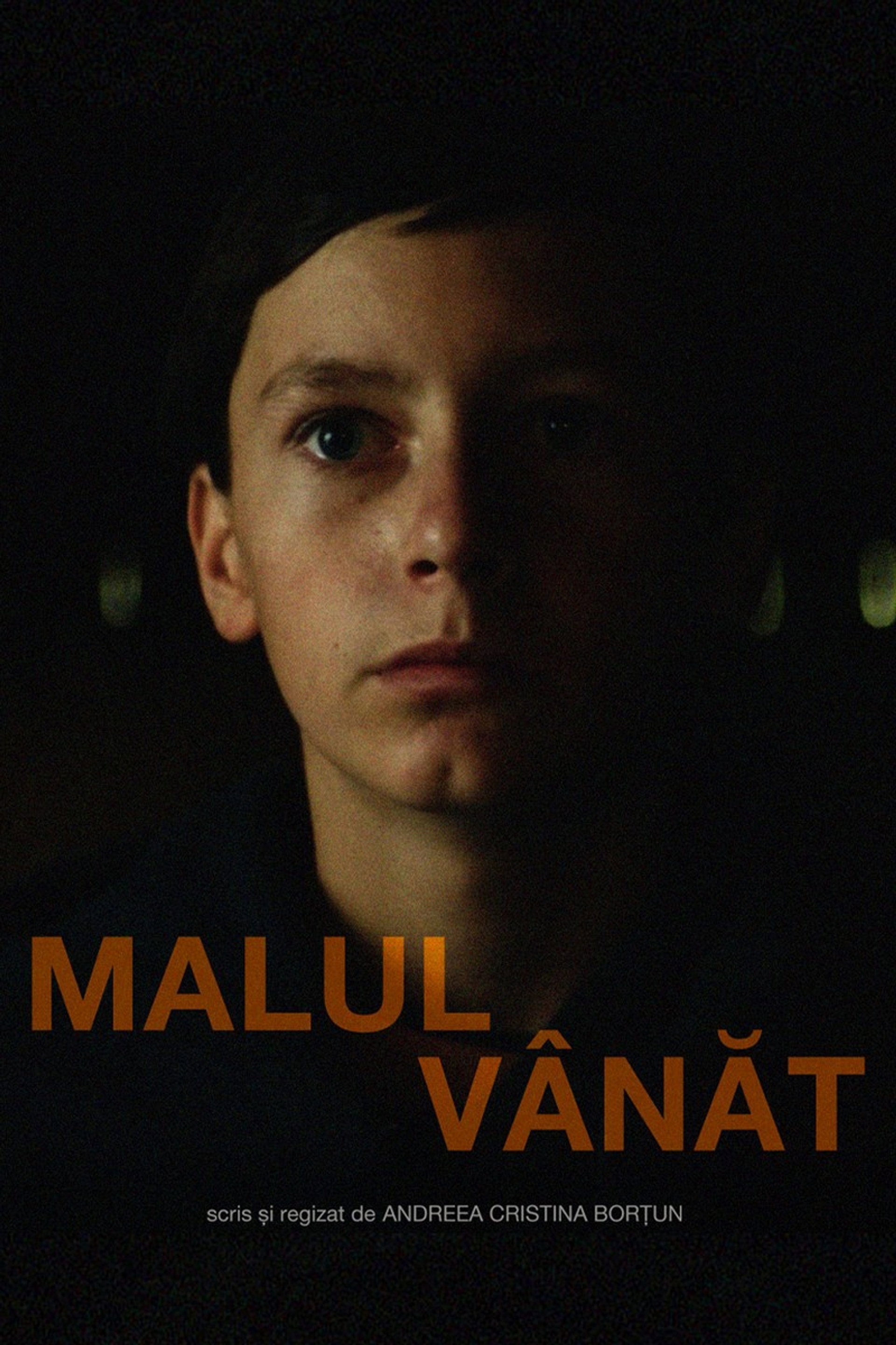 Malul VÃ¢nÄt