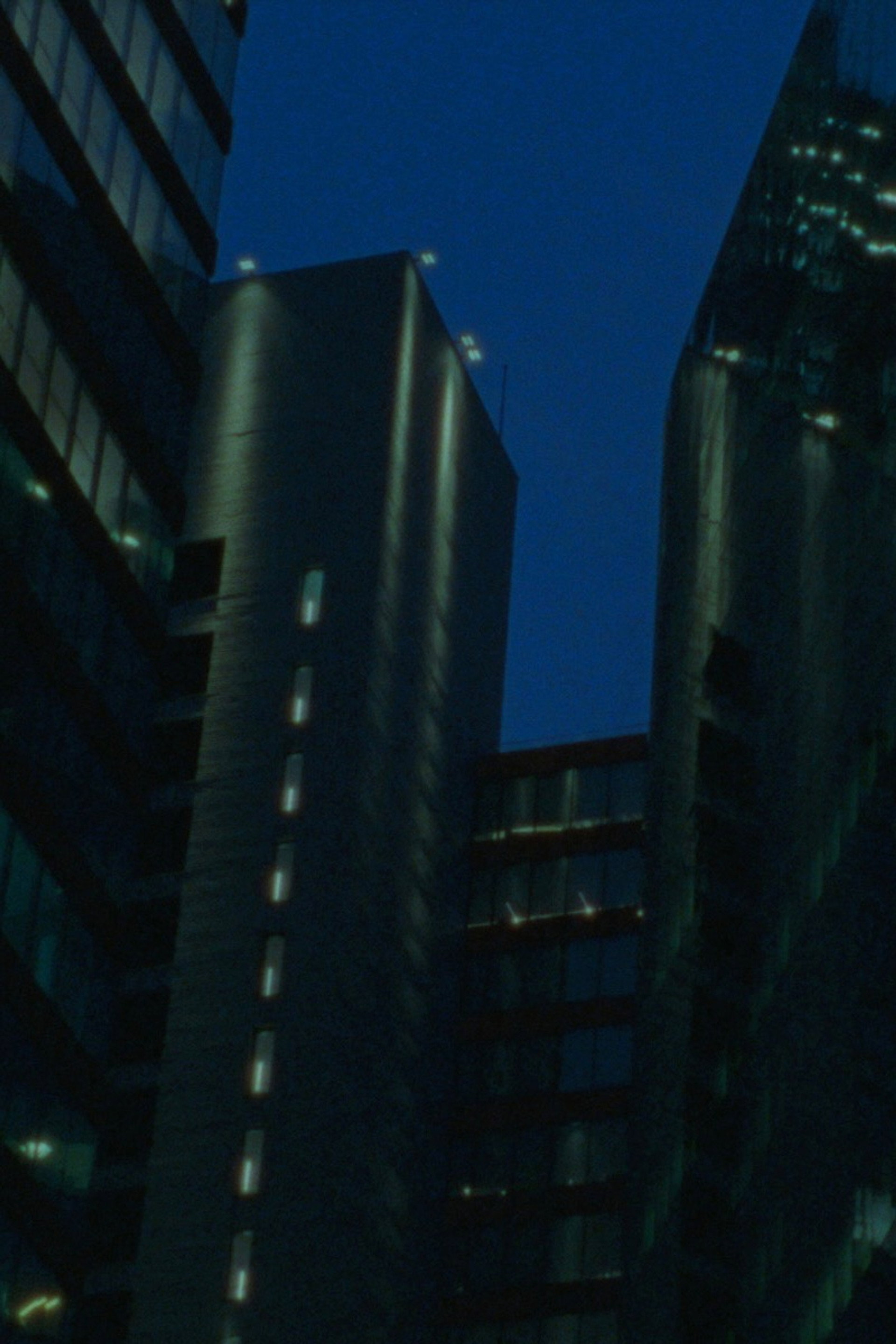 ä½ çåå¸