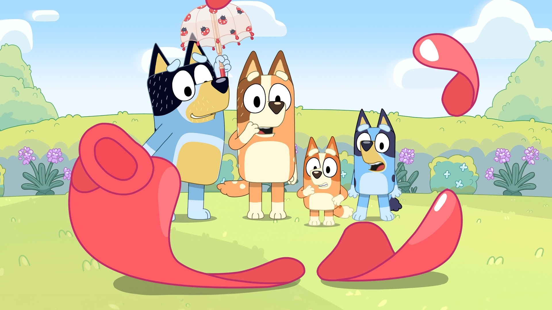 Bluey Season 3 Episode 14 : Pass the Parcel