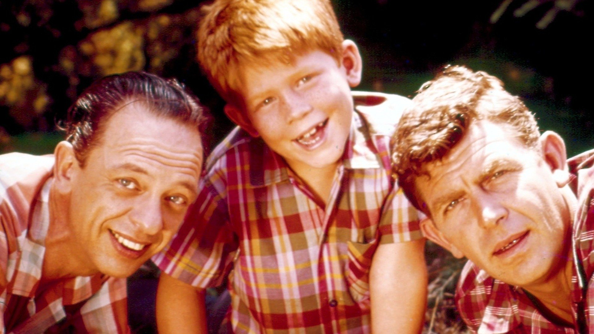 The Andy Griffith Show Season 3 Episode 9 : Floyd the Gay Deceiver