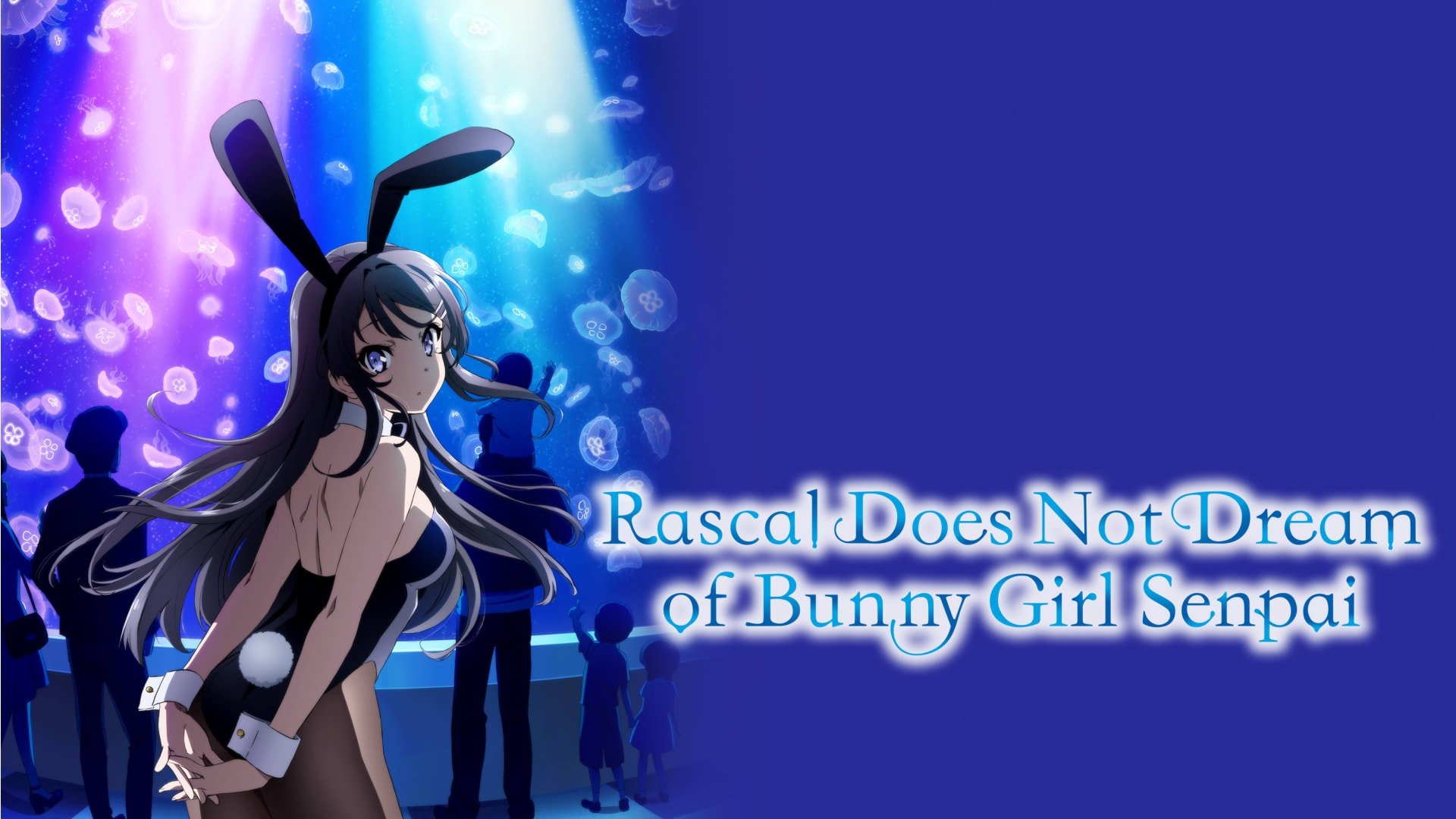 Rascal Does Not Dream of Bunny Girl Senpai Season 1 Episode 10 : Complex Congratulations