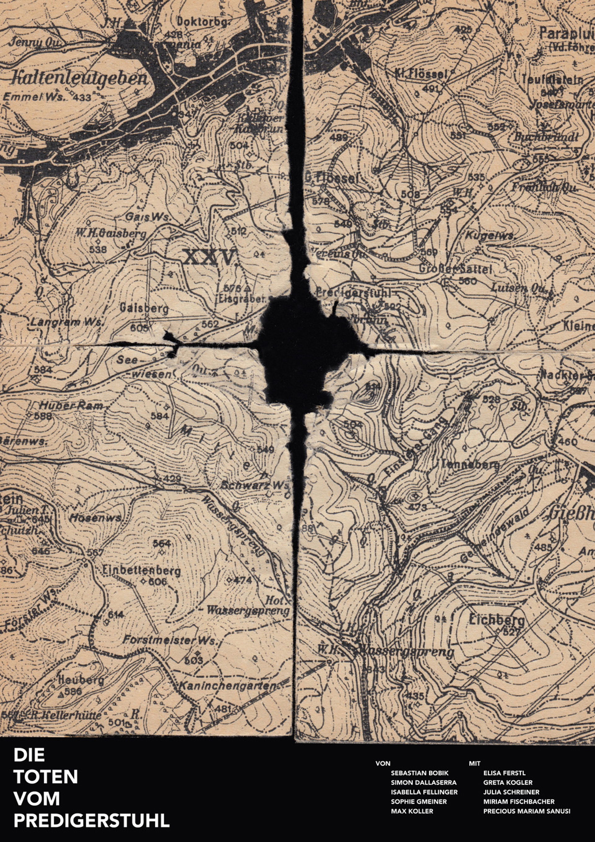 Die Toten vom Predigerstuhl