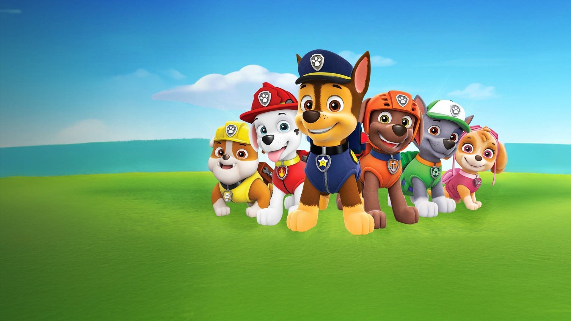 PAW Patrol Season 1 Episode 8 : Pup a Doodle Do