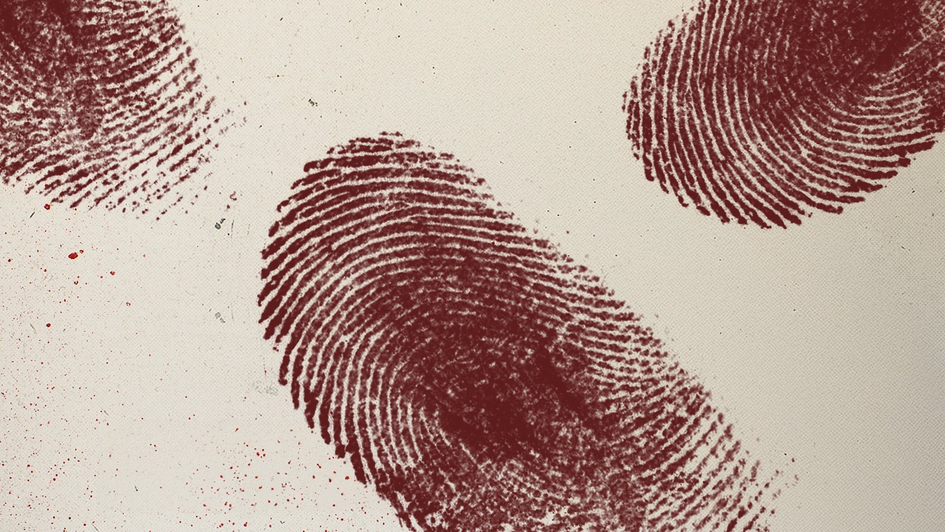 True Crime Belgium Season 1 Episode 15 : Episode 15