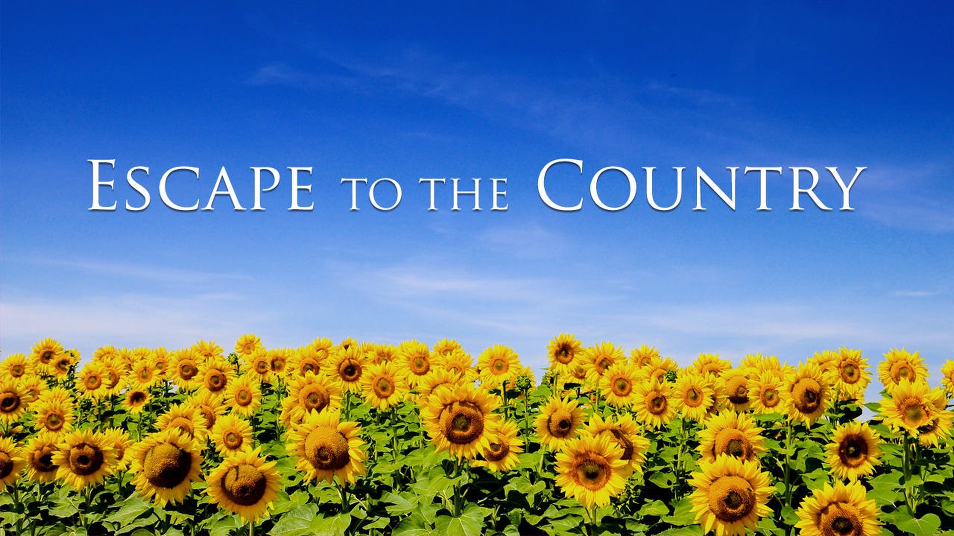 Escape to the Country Season 3 Episode 22 : Northampton to Pembrokeshire