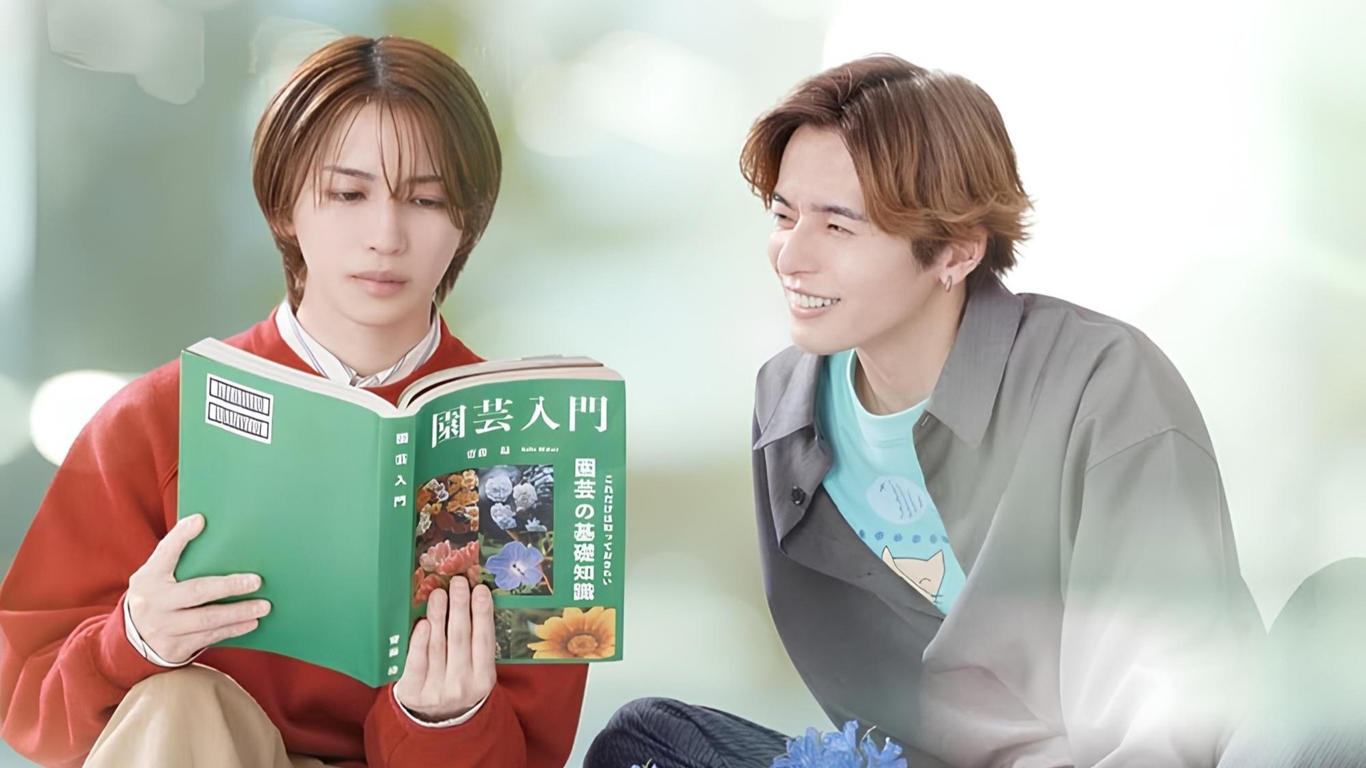 The Proper Way to Write Love