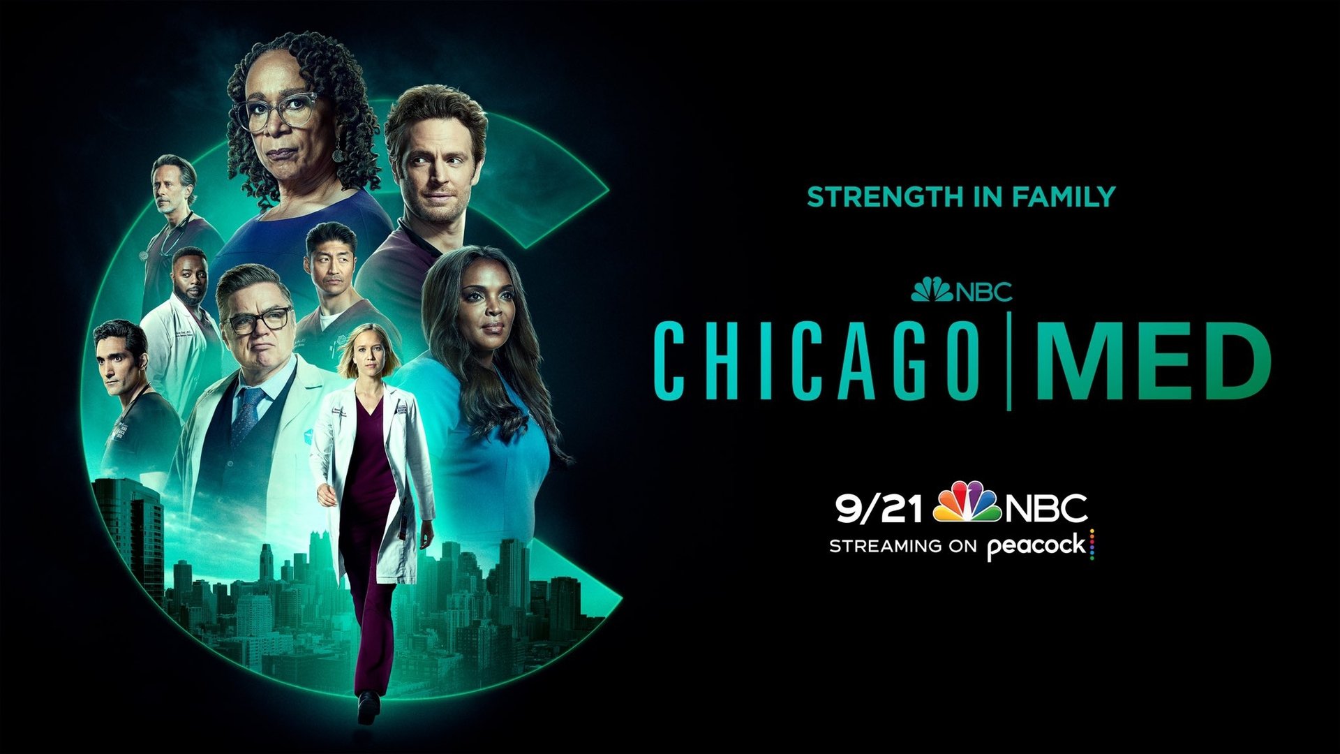 Chicago Med Season 4 Episode 13 : Ghosts in the Attic