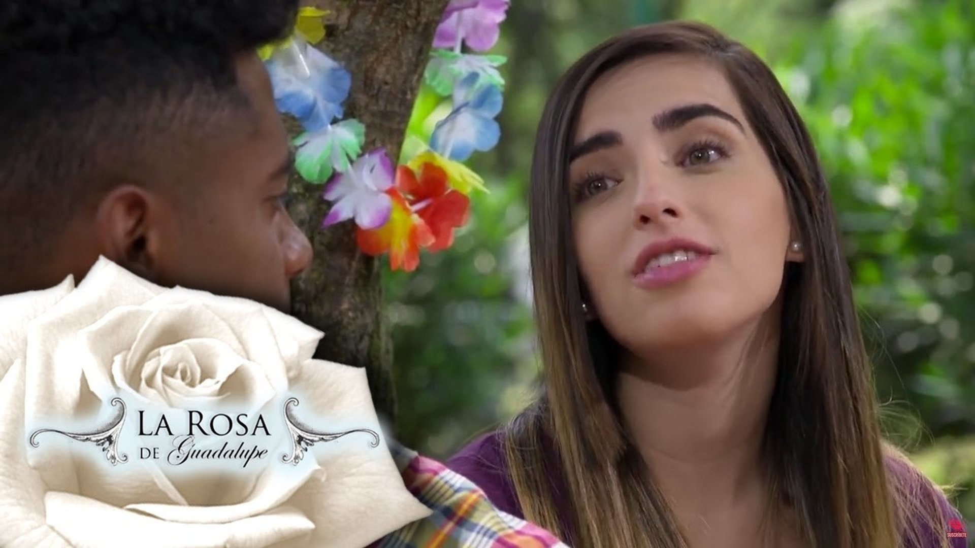 La rosa de Guadalupe Season 12
