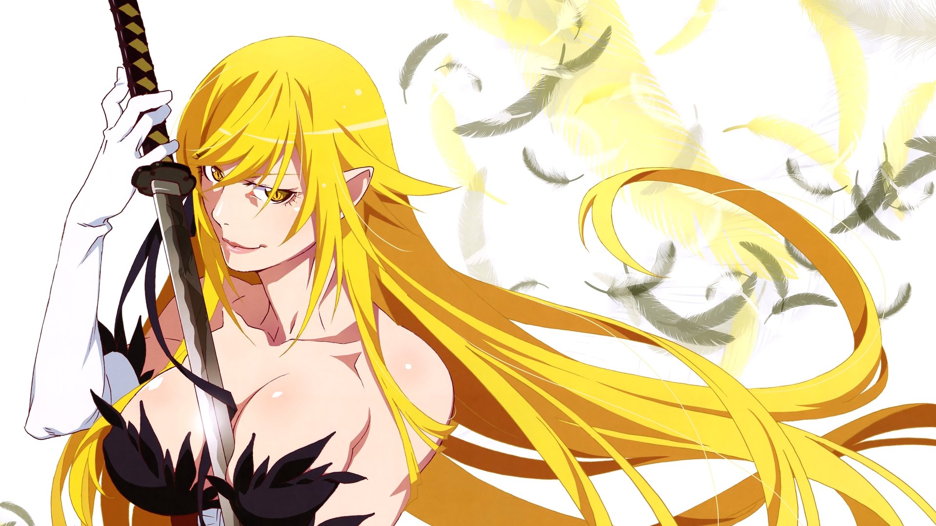 Monogatari Season 1 Episode 6 : Suruga Monkey (1)