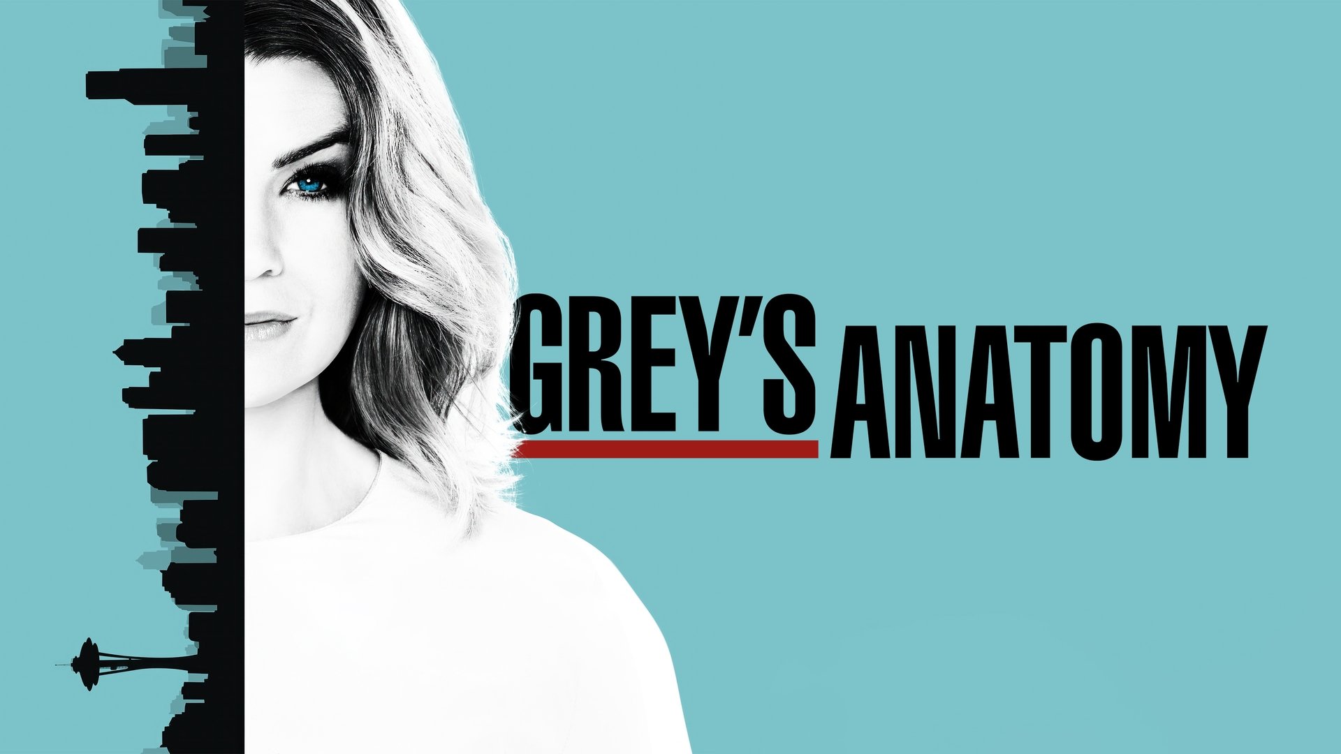 Grey's Anatomy Season 2 Episode 22 : The Name of the Game