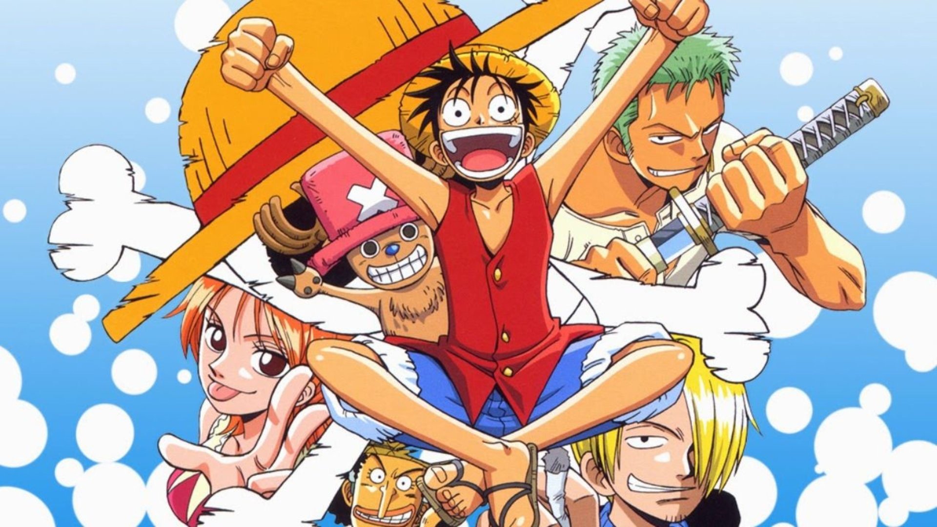 One Piece Zou