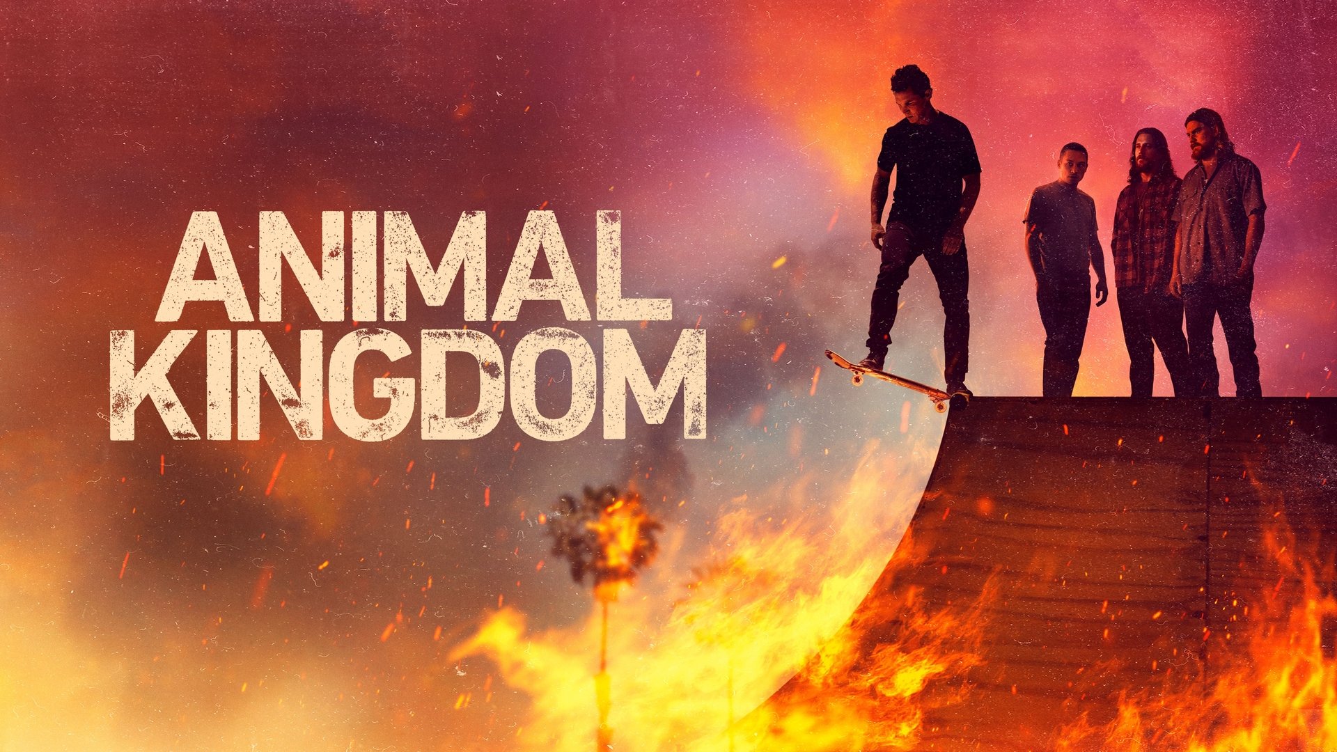 Animal Kingdom Season 1 Episode 8 : Man In