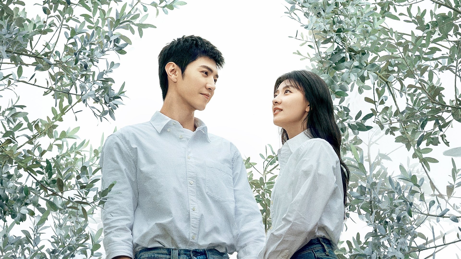 The White Olive Tree Season 1 Episode 1 : Episode 1