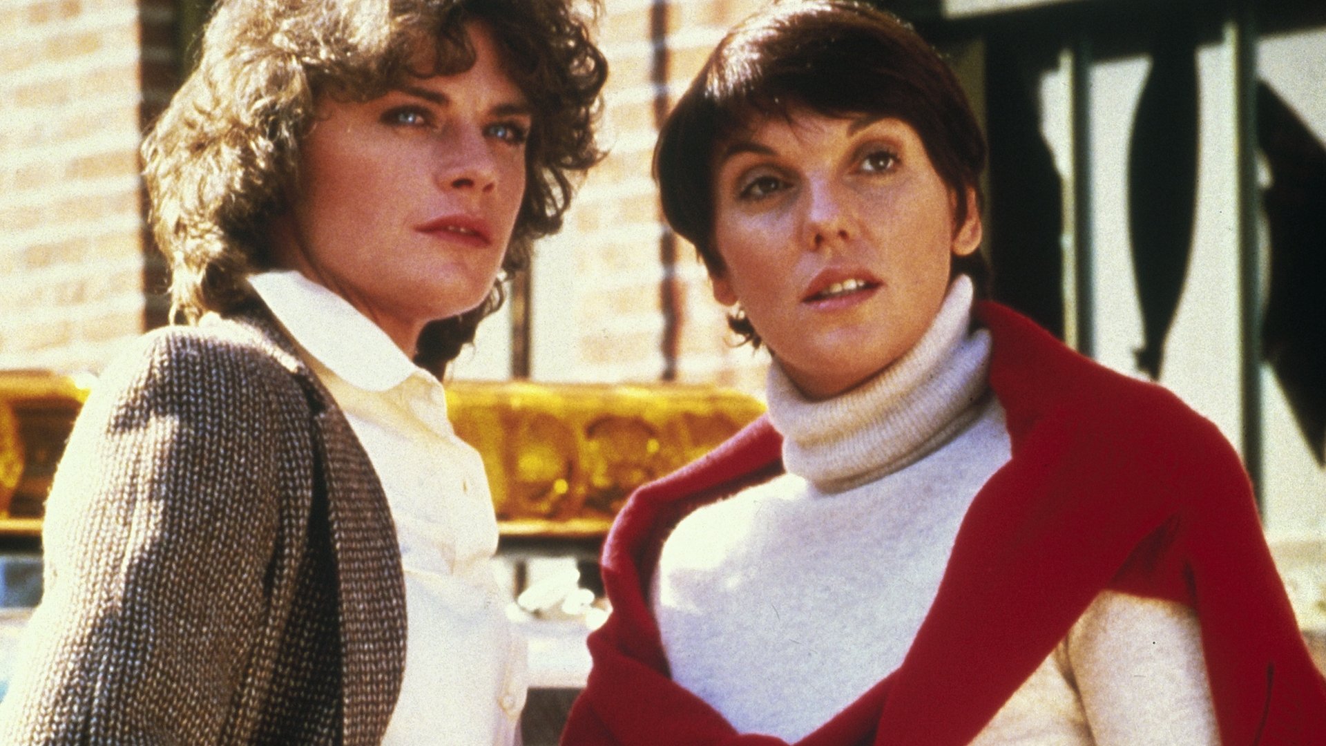 Cagney & Lacey Season 3