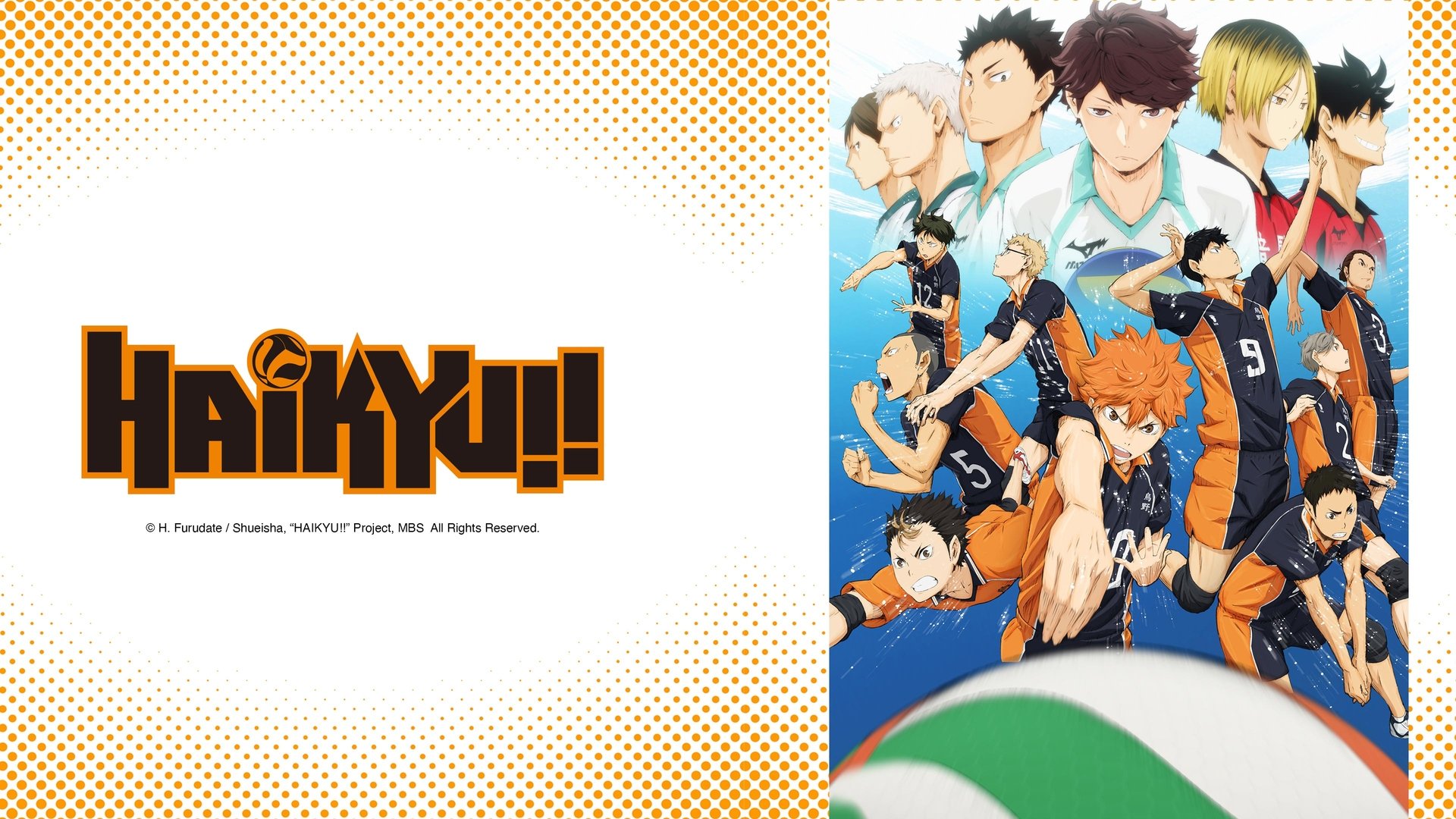 Haikyu!! Karasuno High School vs Shiratorizawa Academy