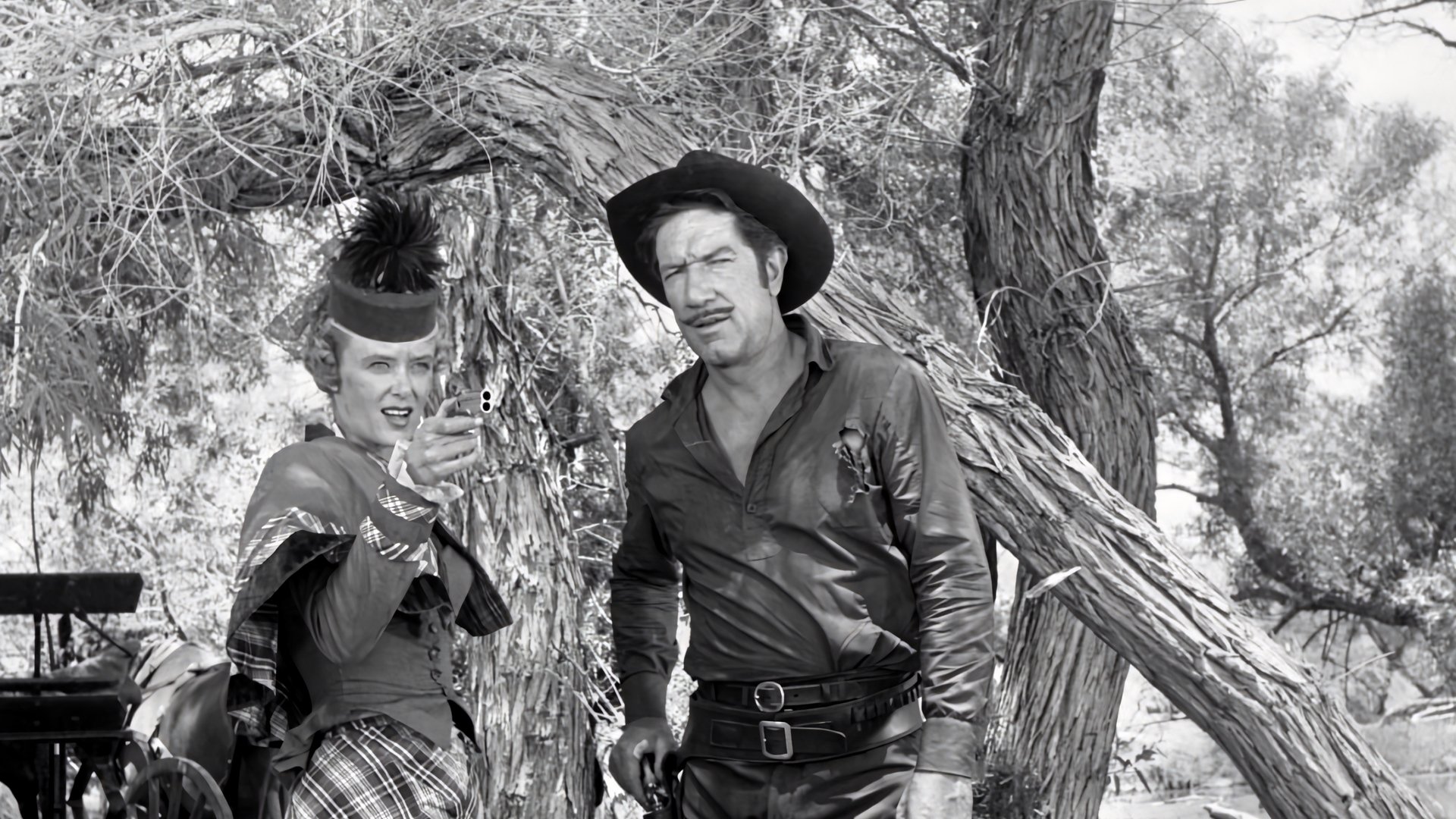 Have Gun, Will Travel Season 1 Episode 11 : The Colonel and the Lady