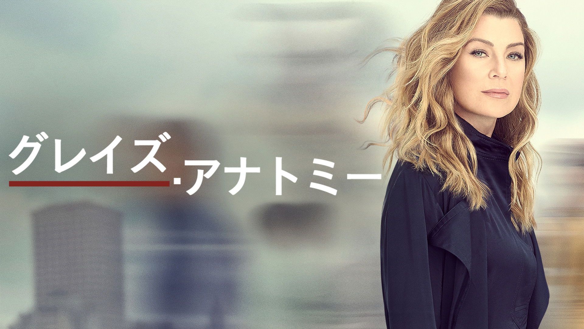 Grey's Anatomy Season 12 Episode 23 : At Last