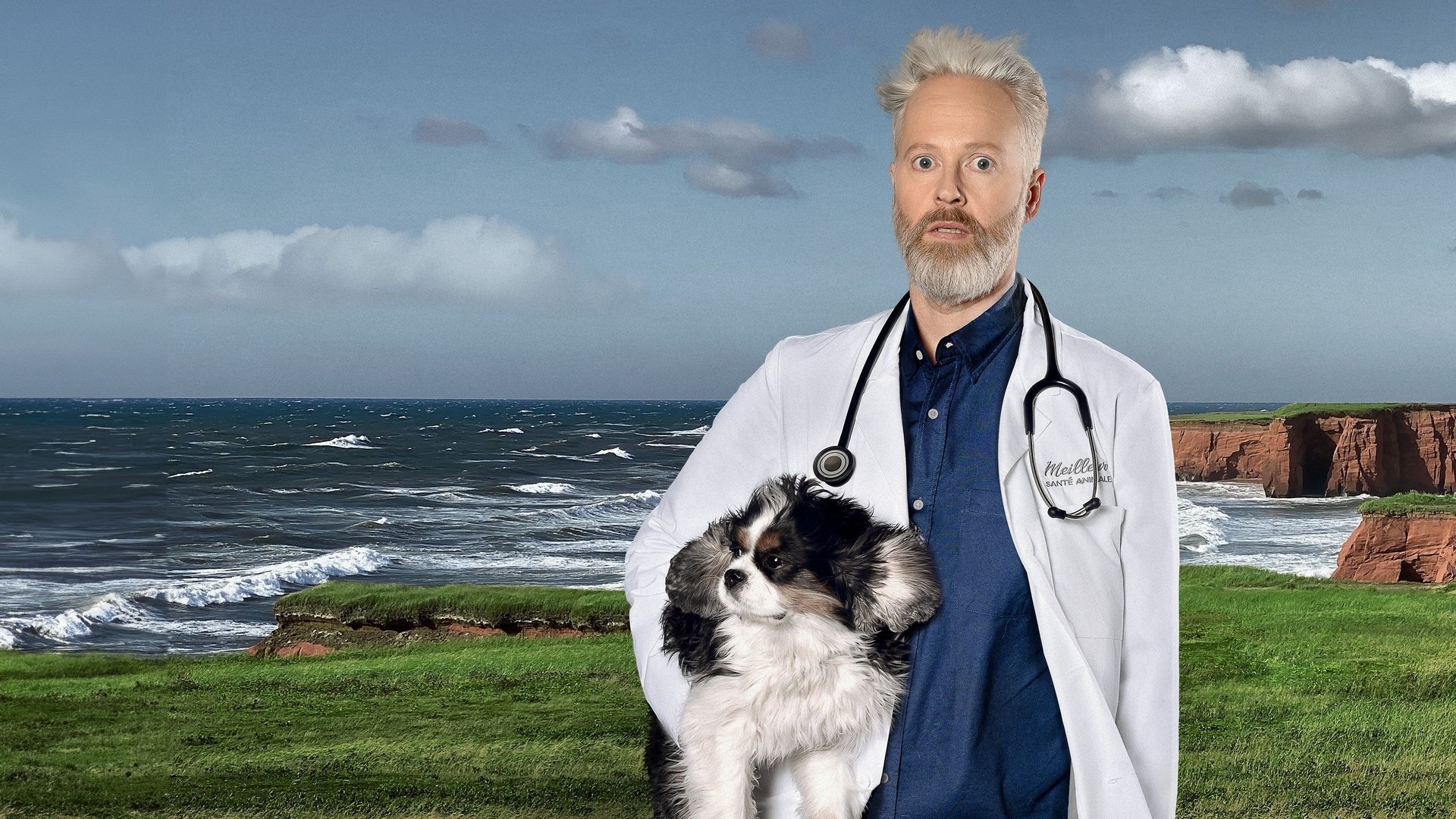 Temps de chien Season 2 Episode 12 : Episode 12