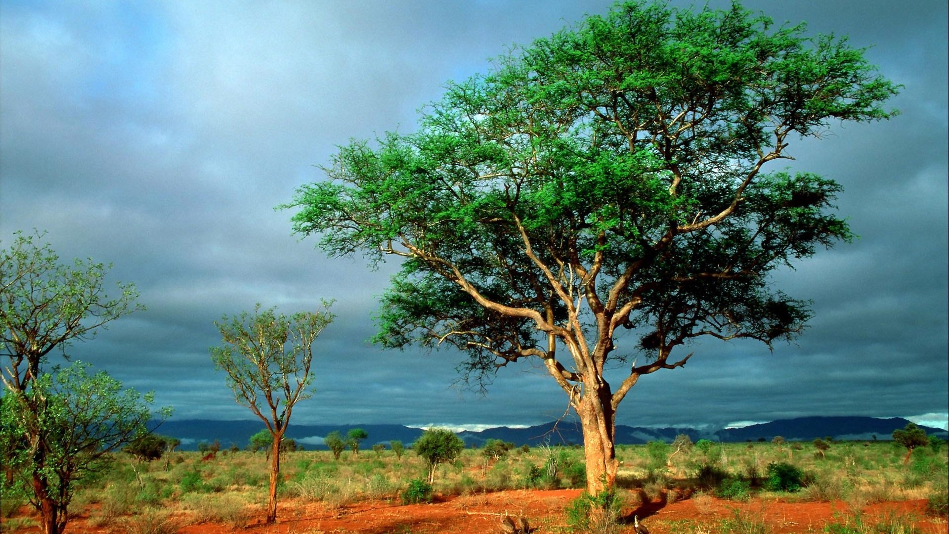 Nature Season 25