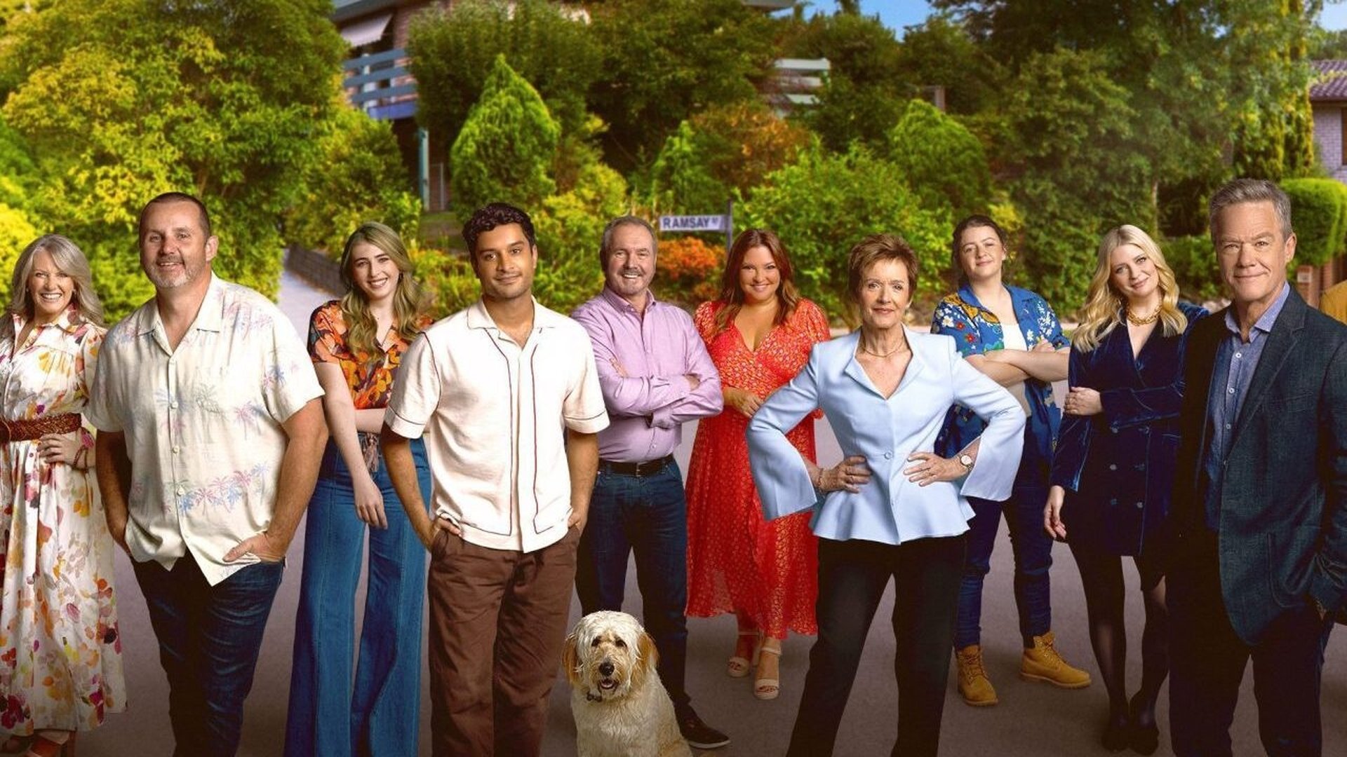 Neighbours Season 2 Episode 169 : Episode 339
