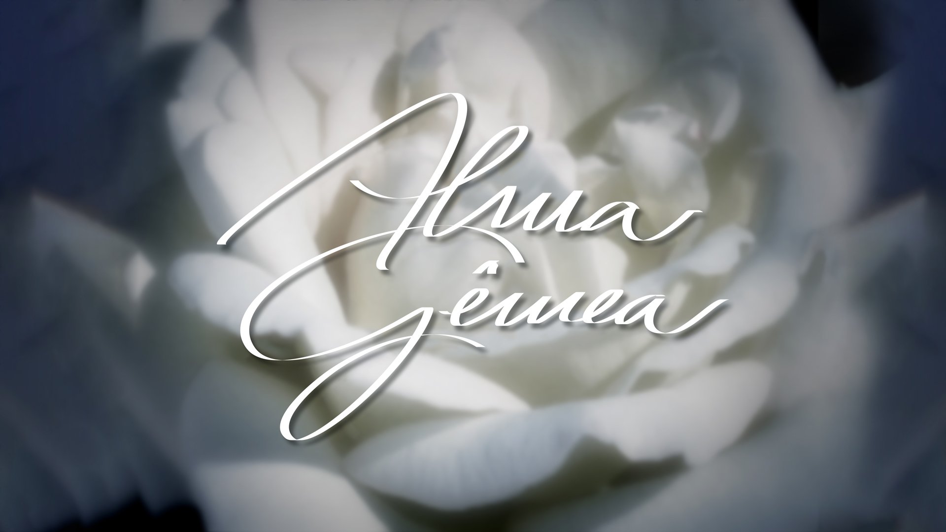 Alma Gêmea Season 1 Episode 24 : Chapter 24