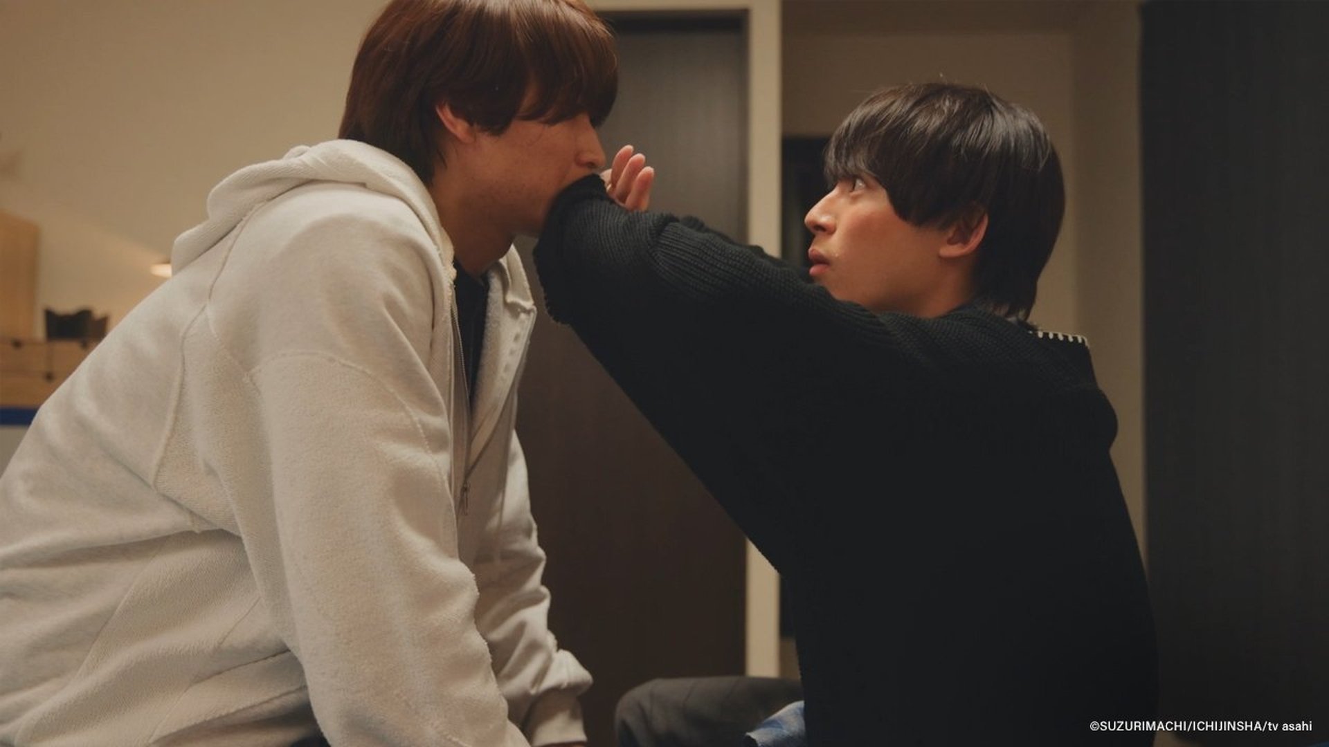 I Became the Main Role of a BL Drama Season 1