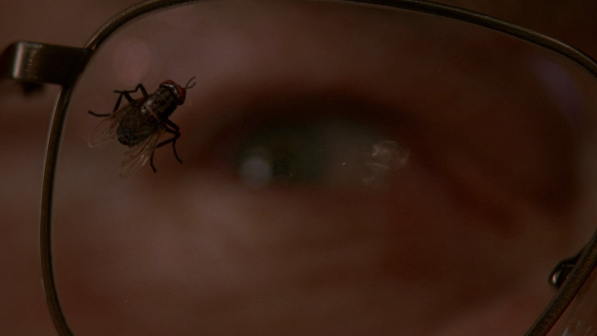 Breaking Bad Season 3 Episode 4 : Green Light