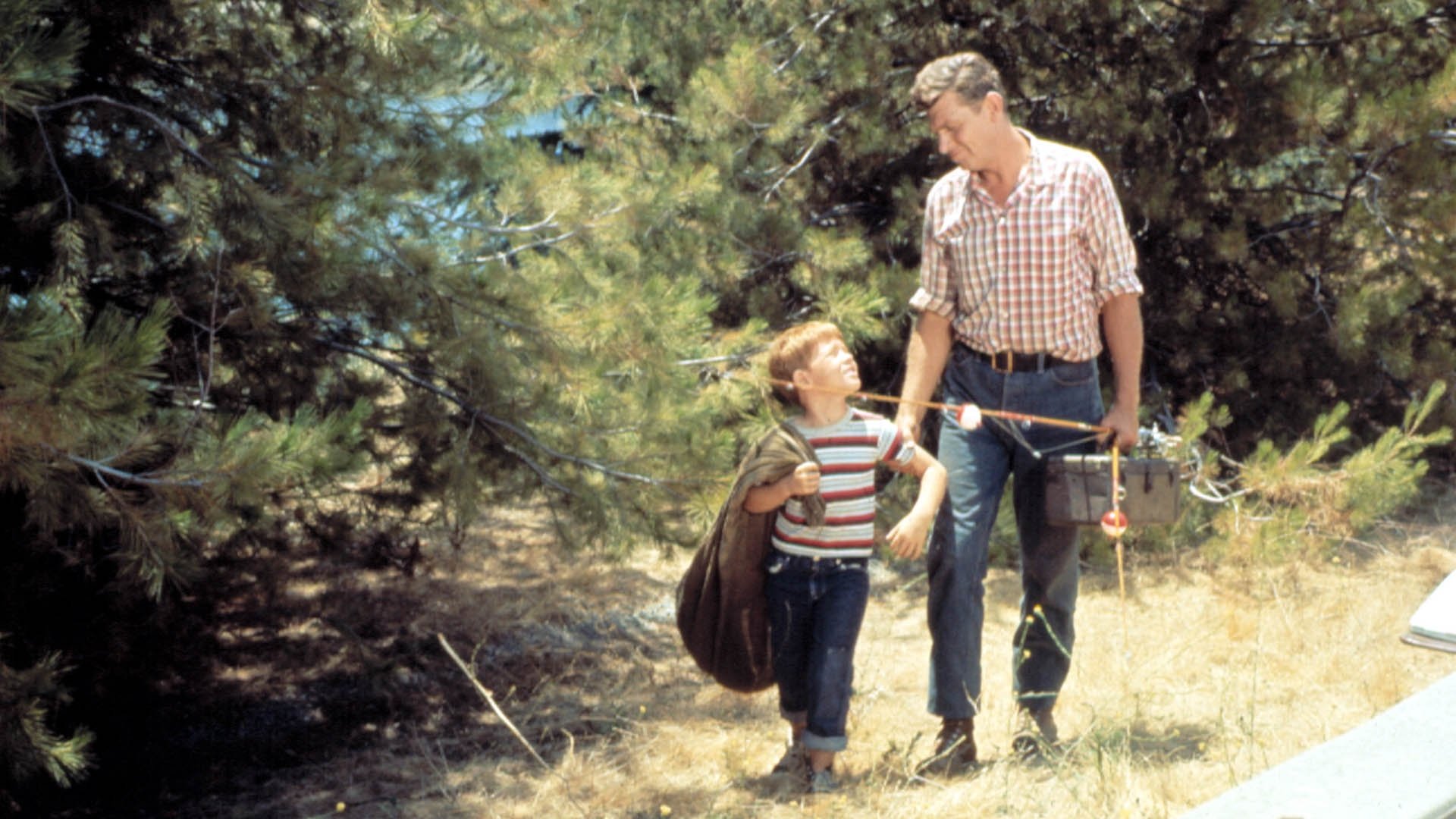 The Andy Griffith Show Season 5 Episode 25 : The Case of the Punch in the Nose