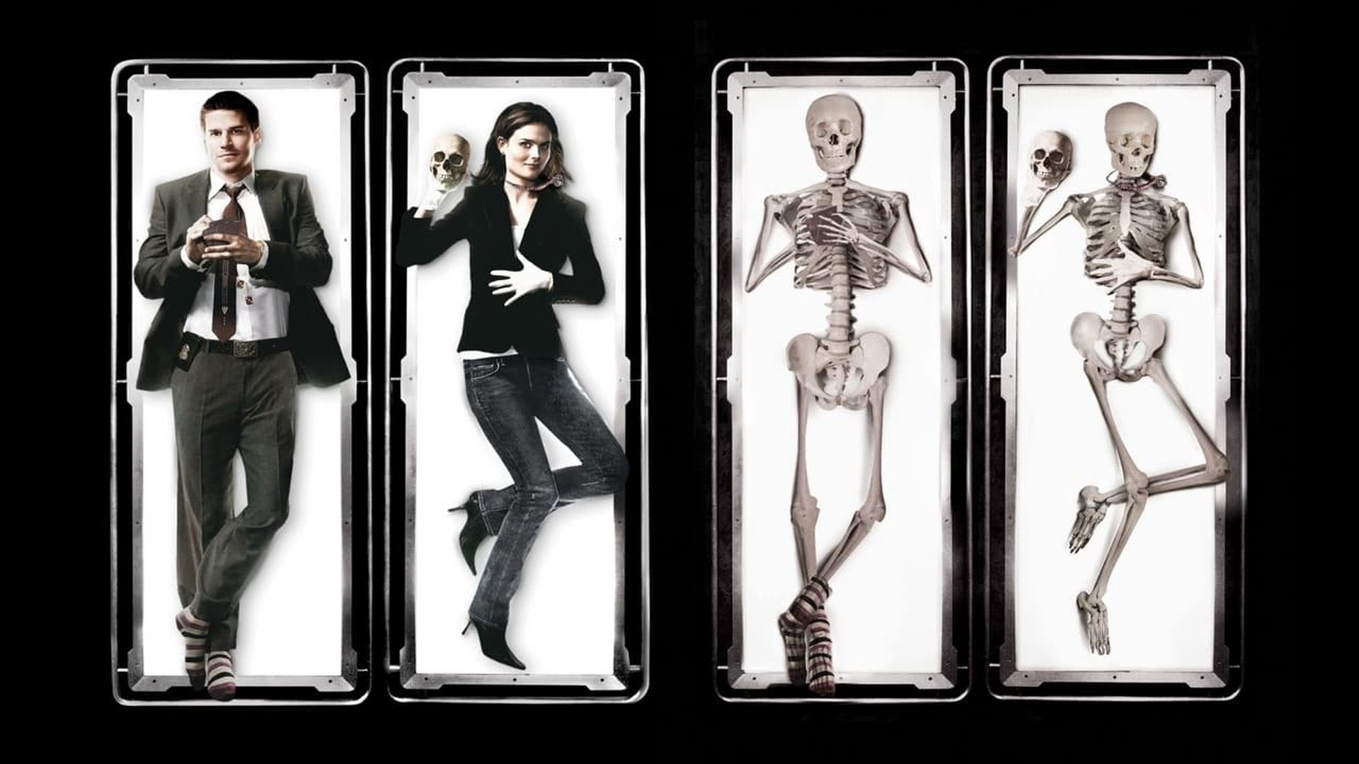 Bones Season 11 Episode 11 : The Death in the Defense