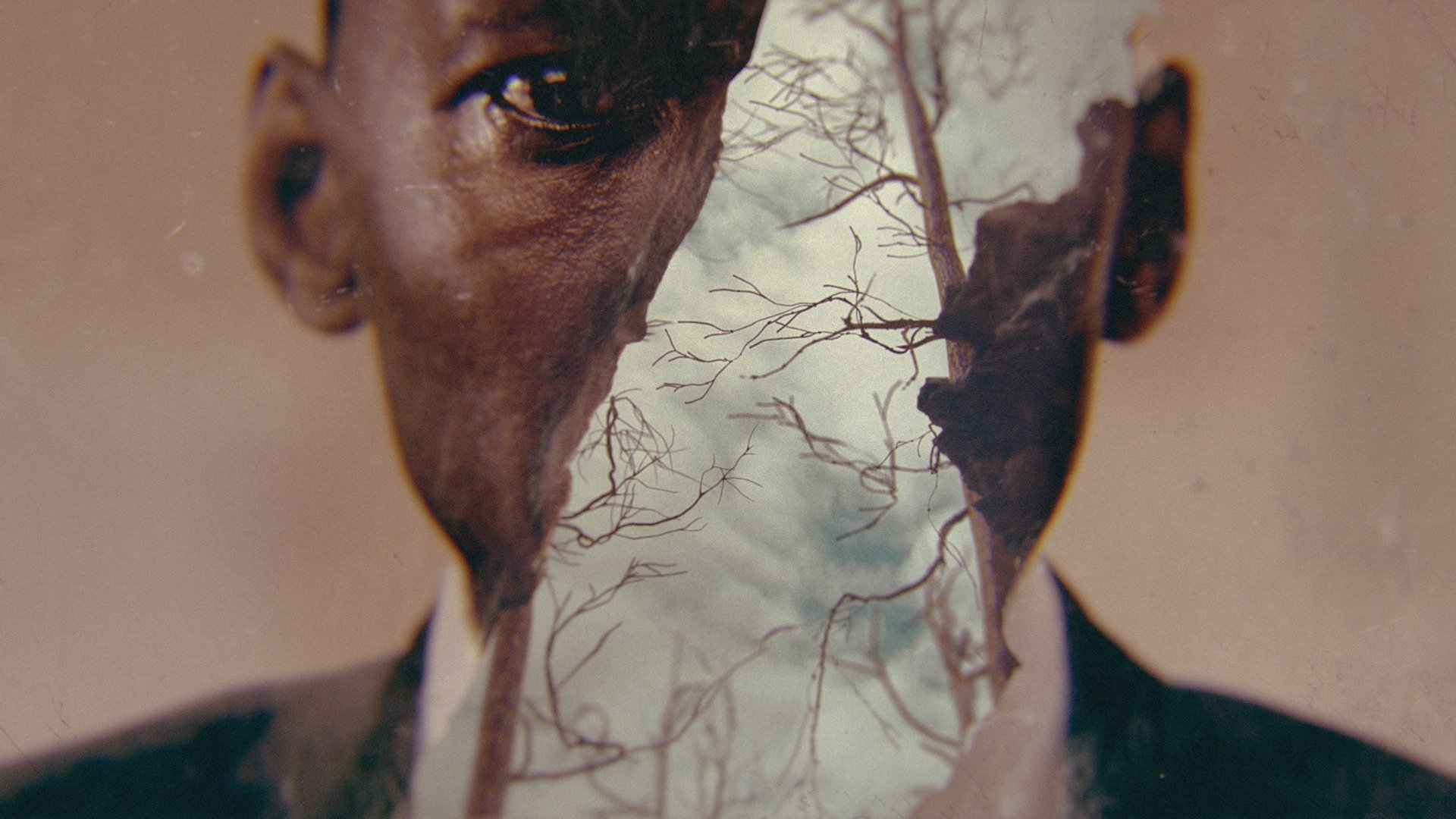 True Detective Season 1 Episode 4 : Who Goes There?