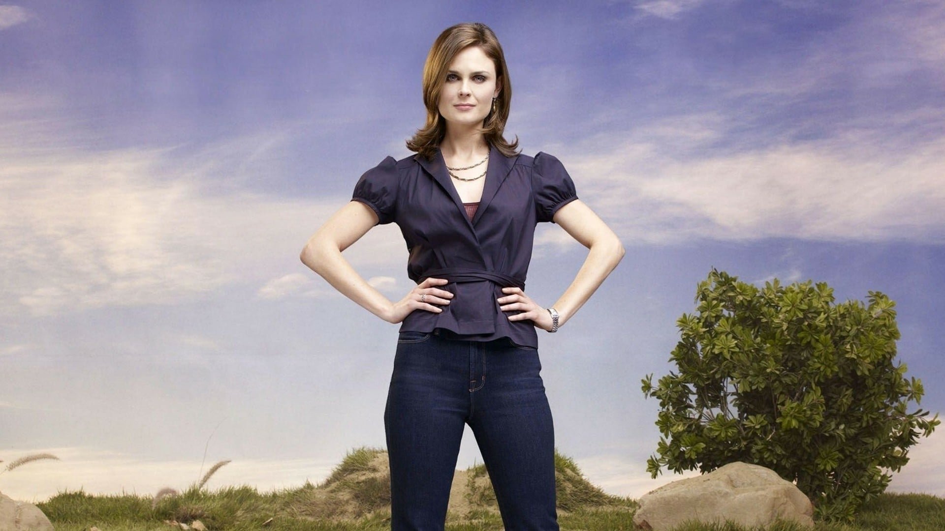 Bones Season 8 Episode 1 : The Future in the Past