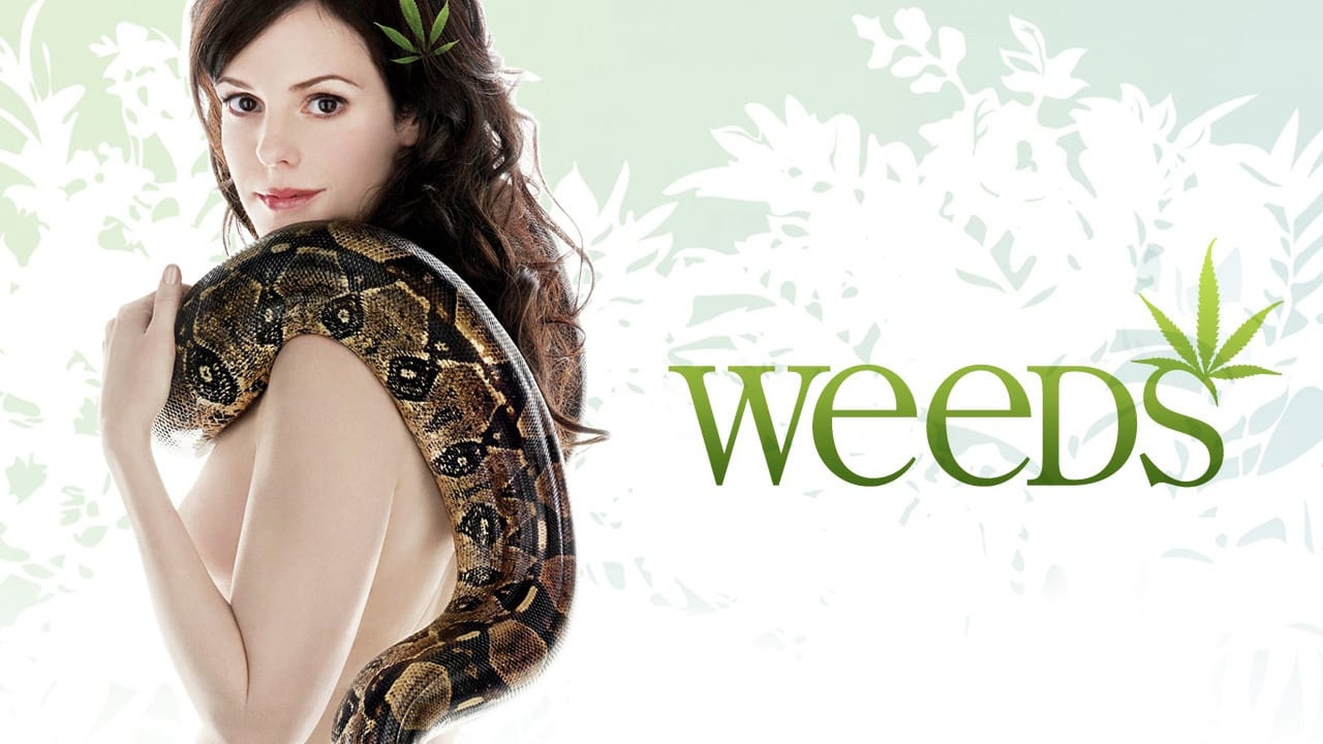 Weeds Season 4 Episode 3 : The Whole Blah Damn Thing