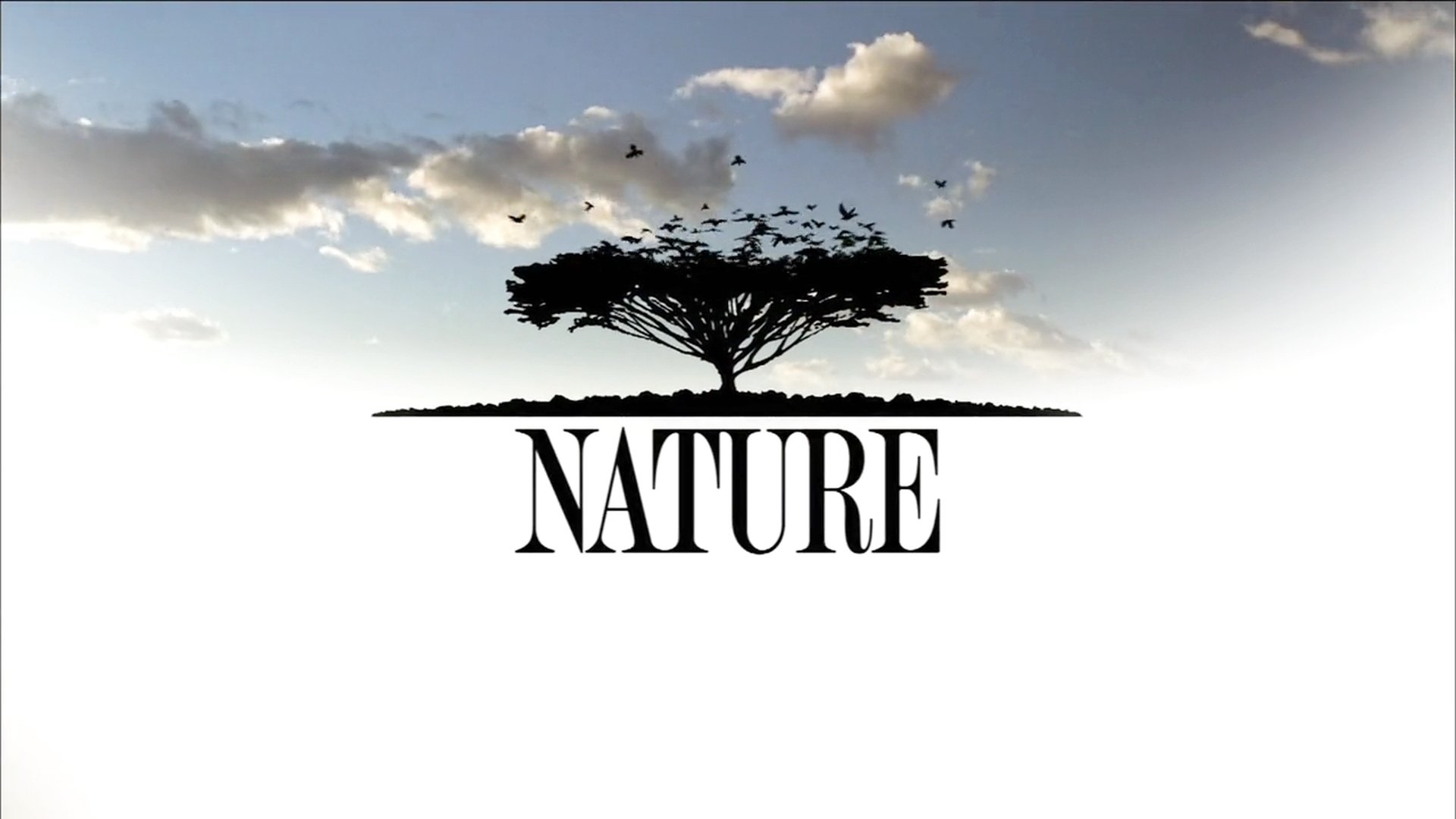 Nature Season 4 Episode 19 : Where Eagles Fly